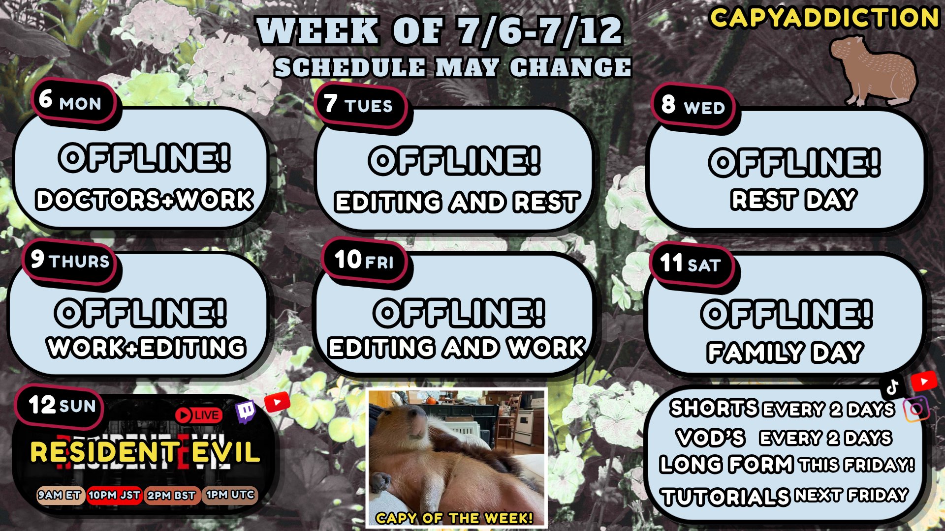 CapyAddiction banner