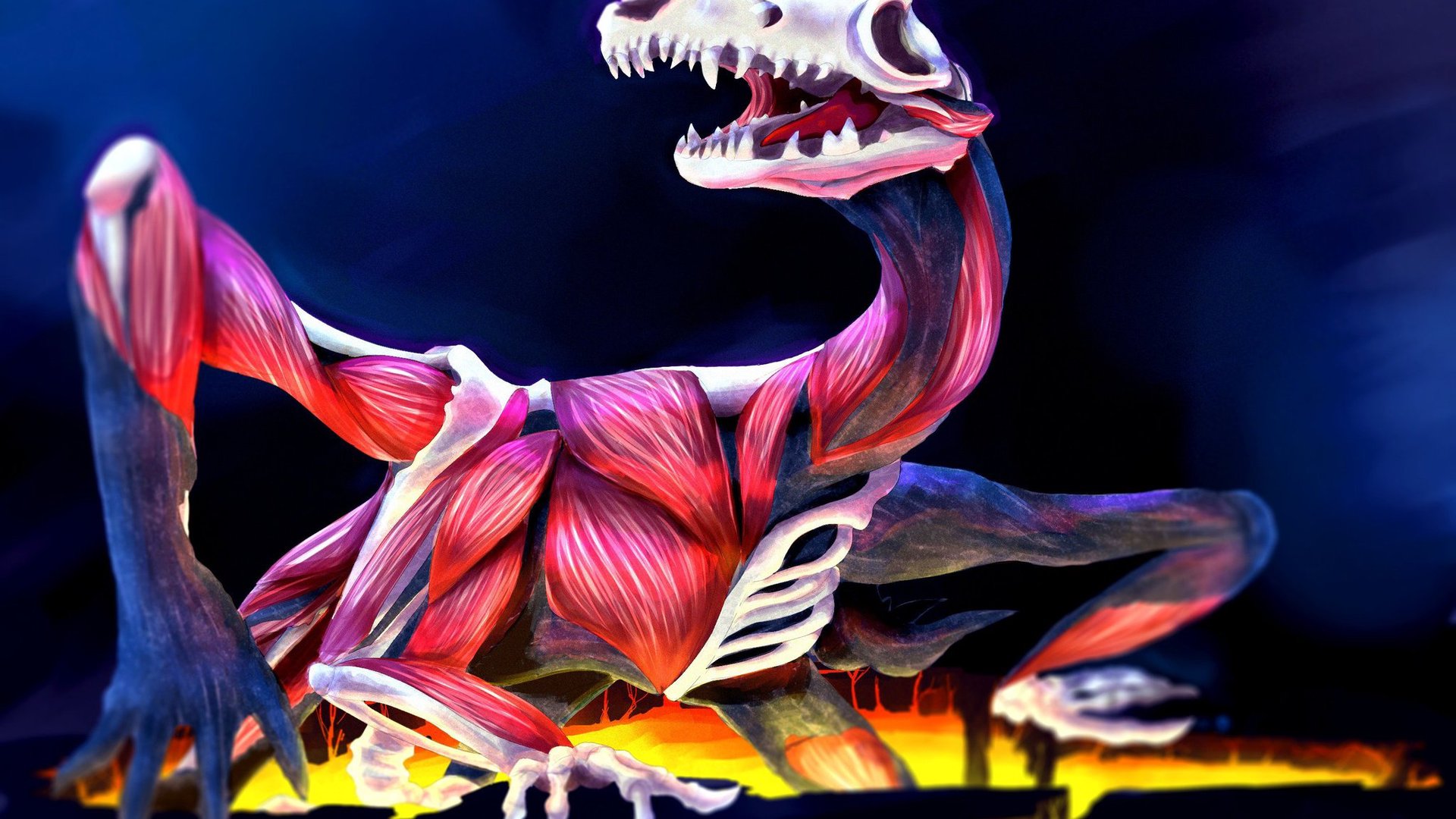 Carniii banner