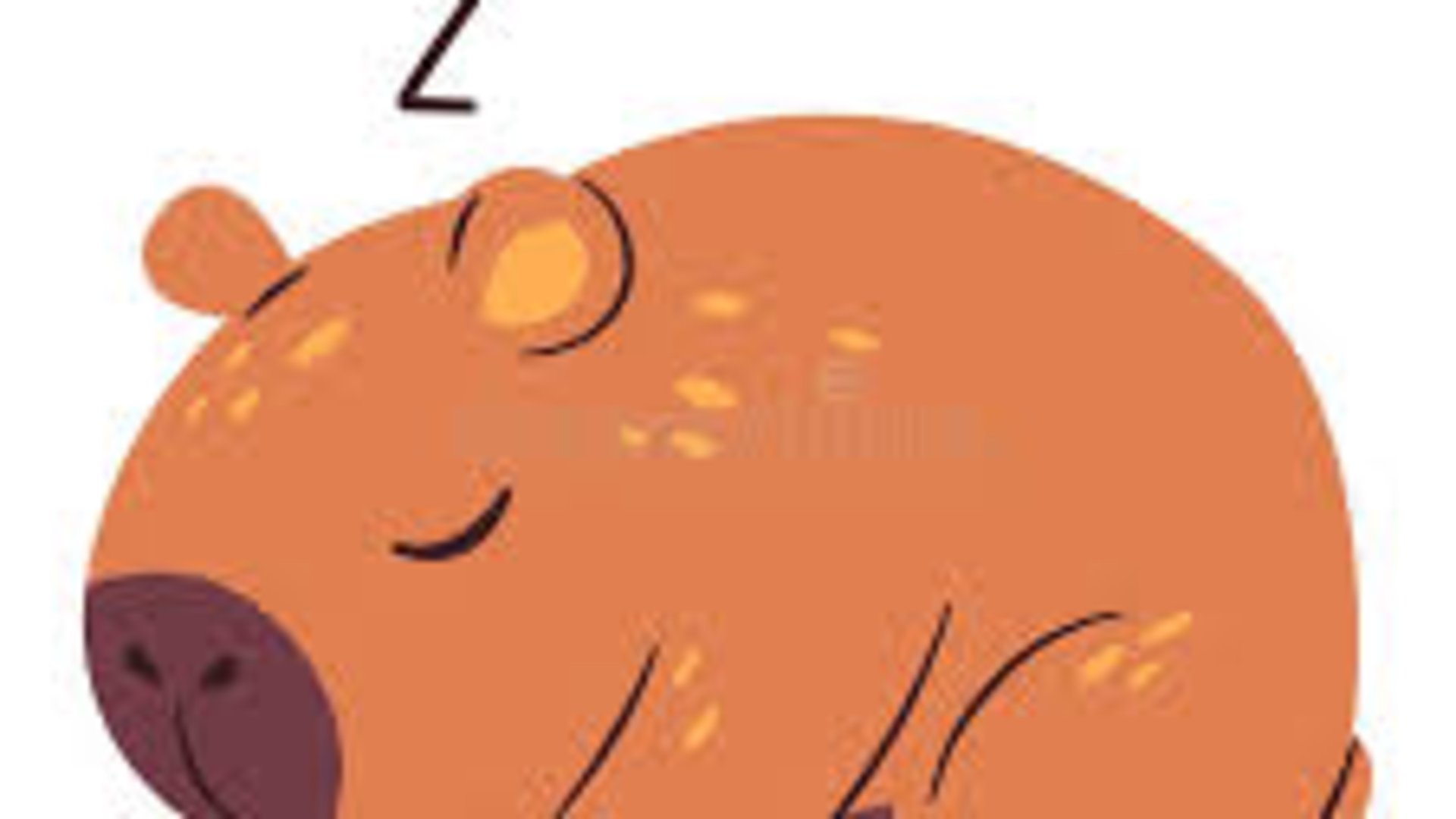 carpigames123 banner