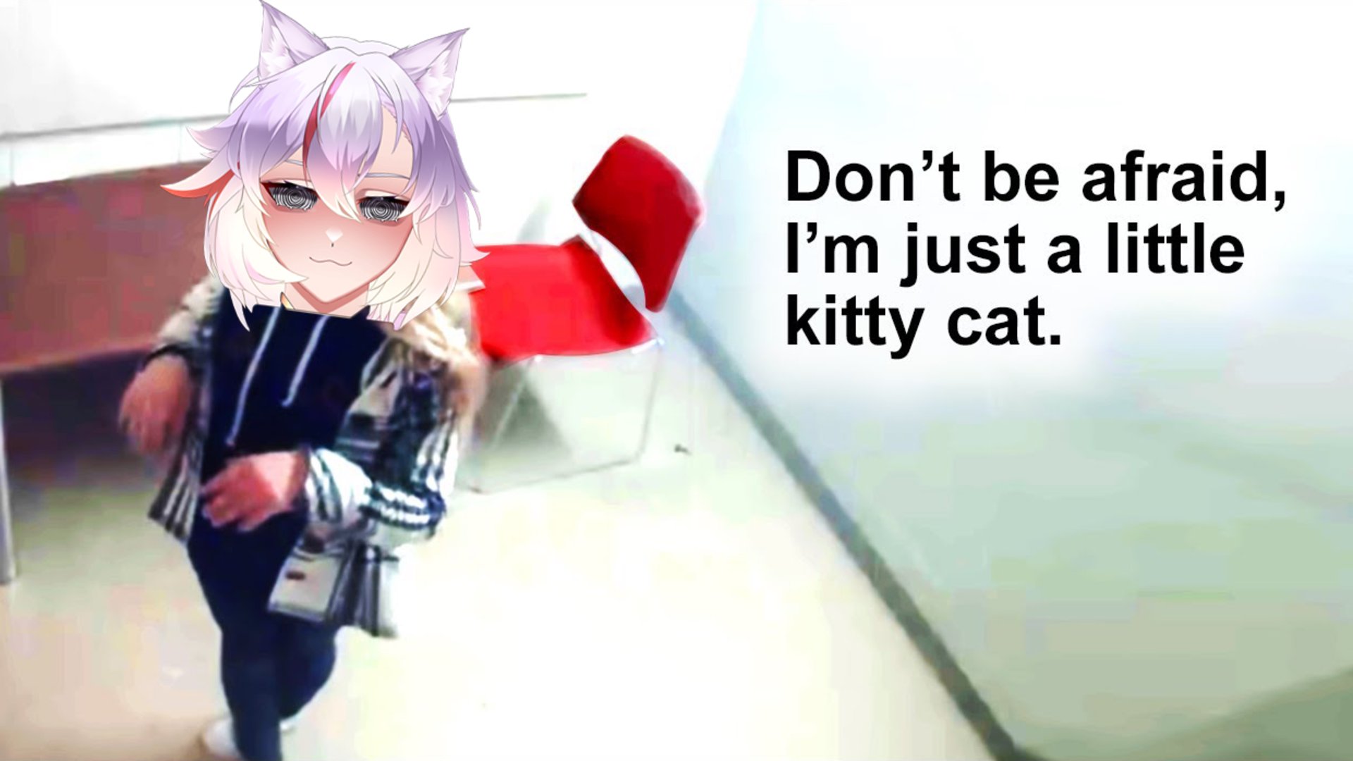CatboiAoi banner