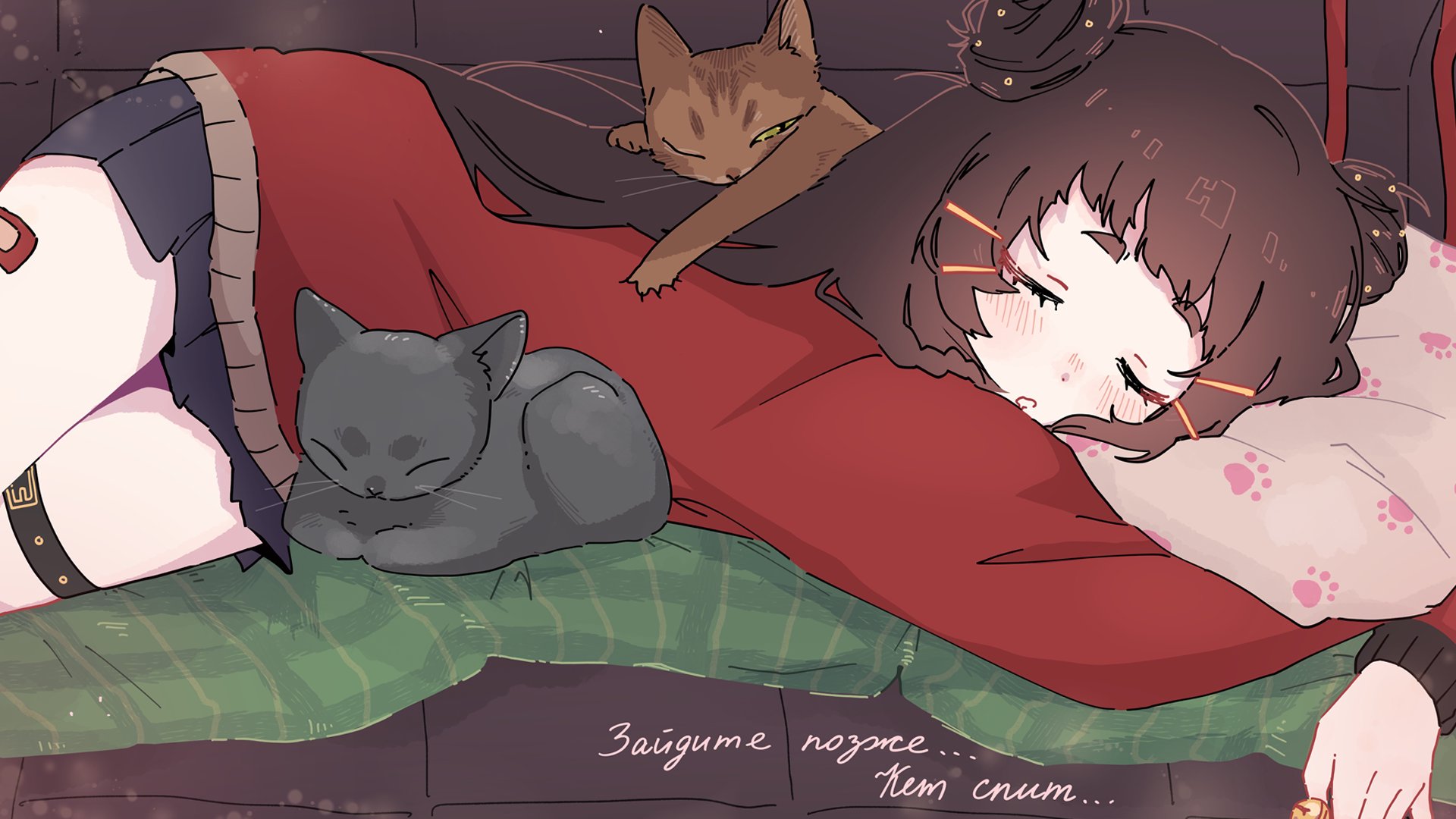 Catyussha banner