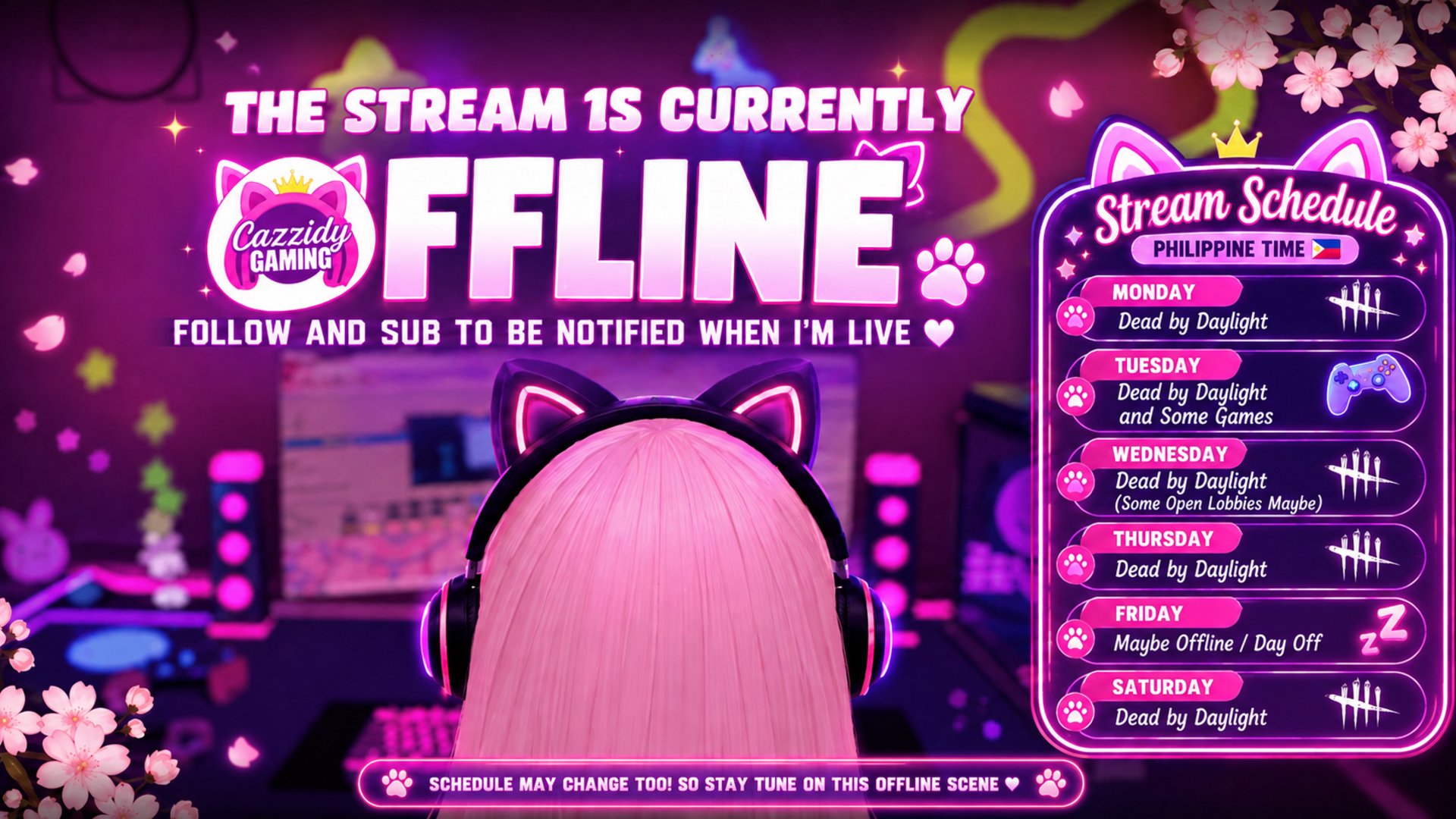 CazzidyGaming banner