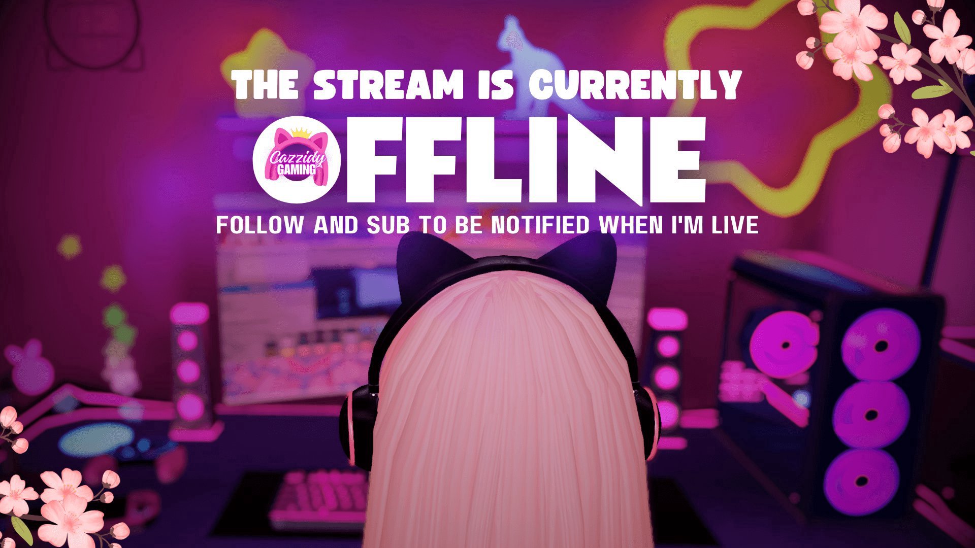 CazzidyGaming banner
