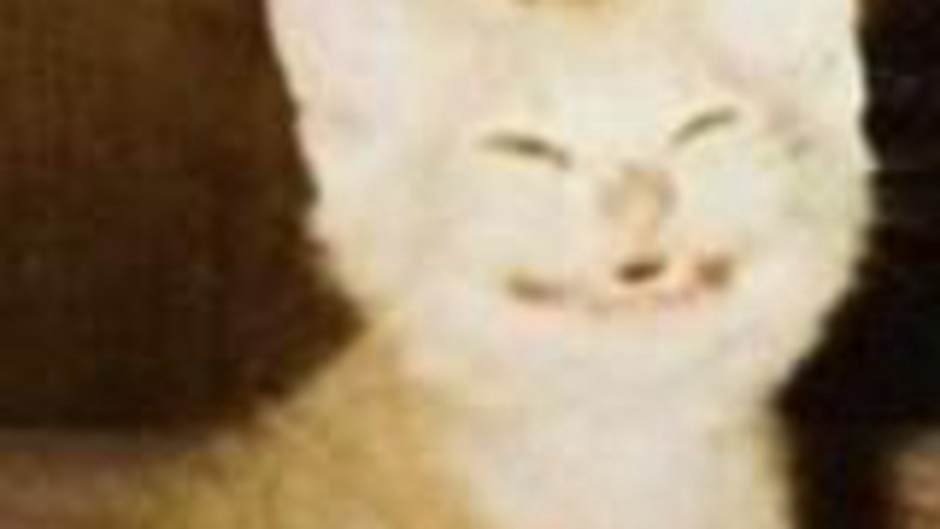 CelesarVT banner