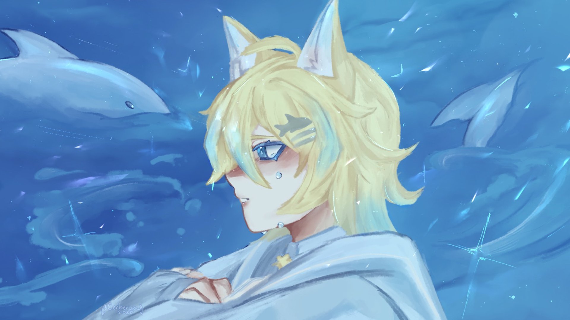 CerberuXyz banner