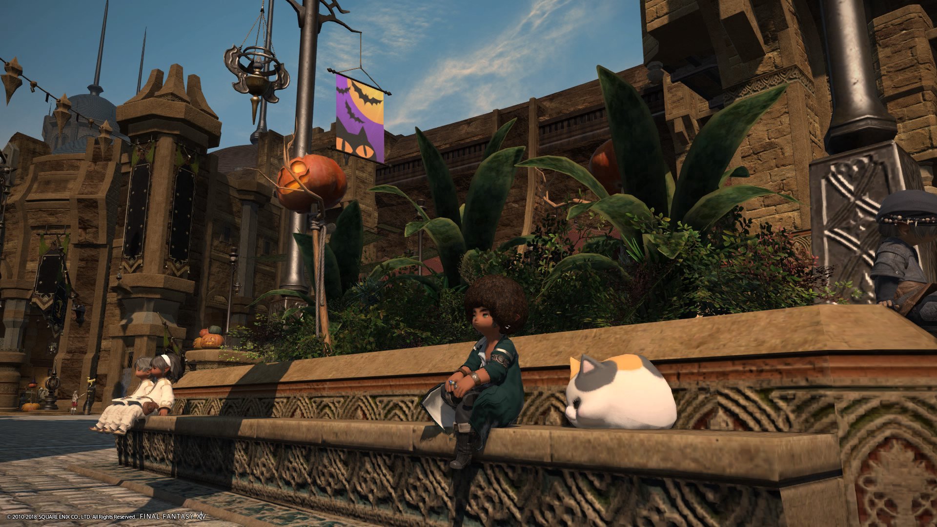 chocomajic banner