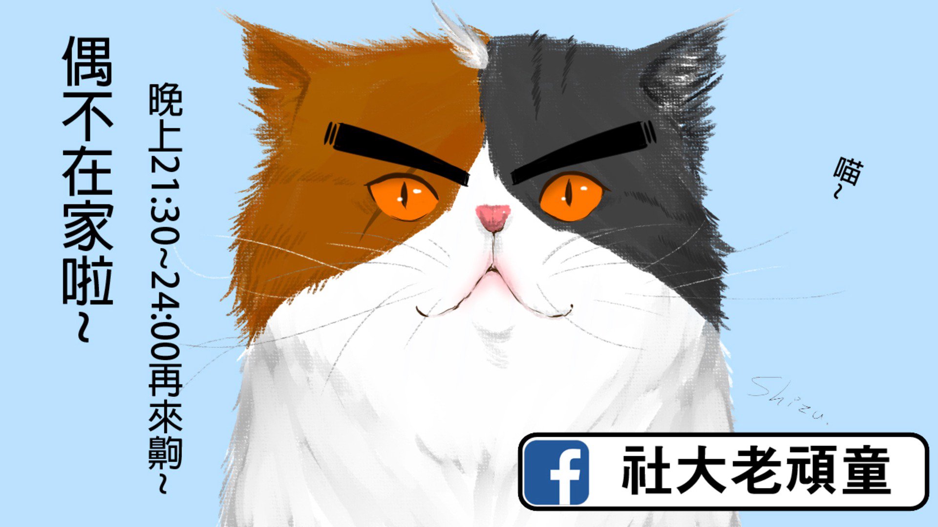 社大老貓 banner