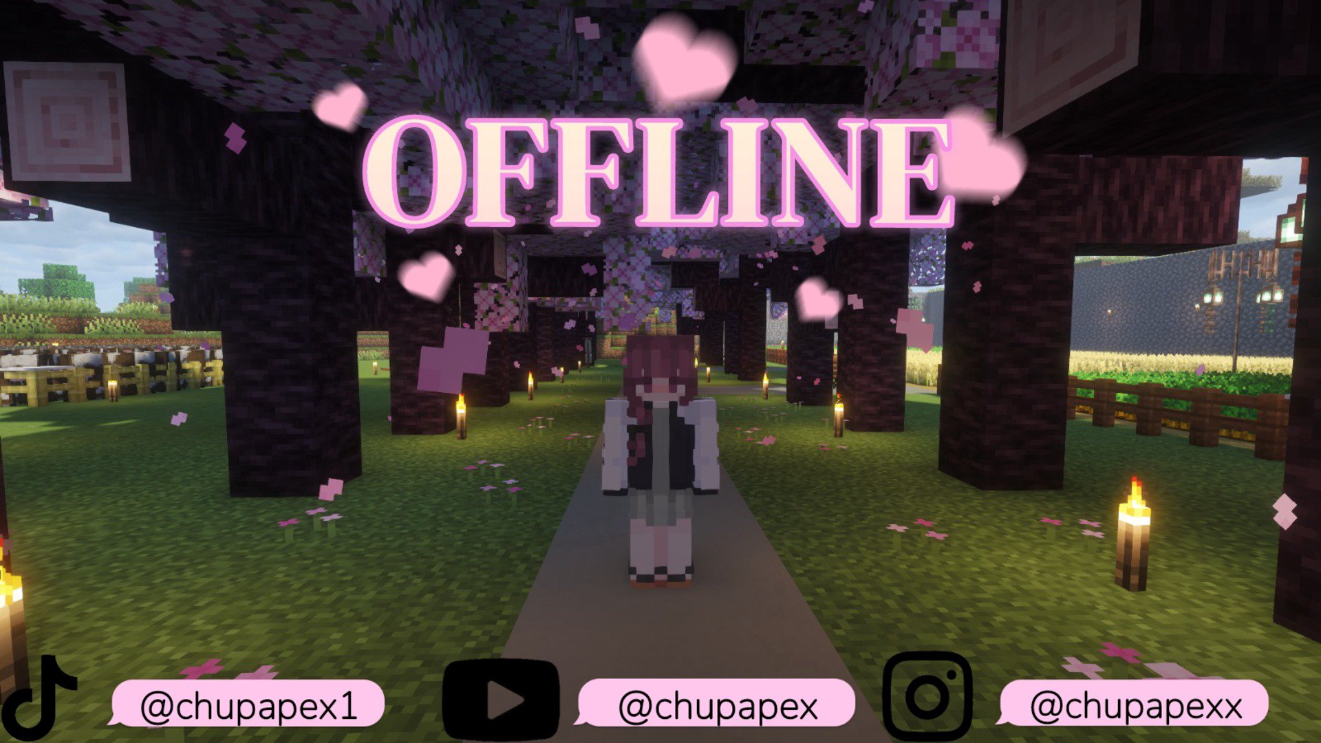 chupapex banner