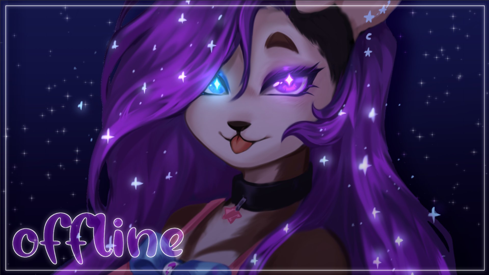 Cici banner