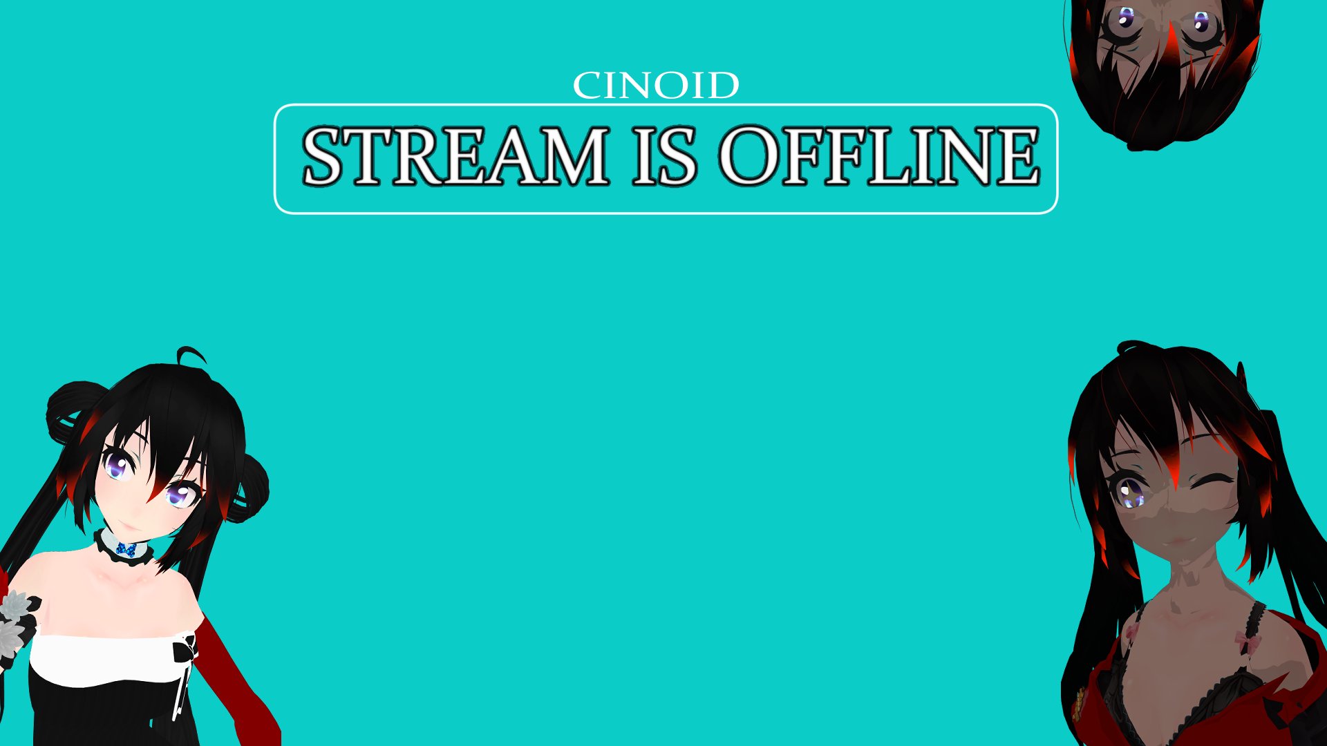 Cinoid banner