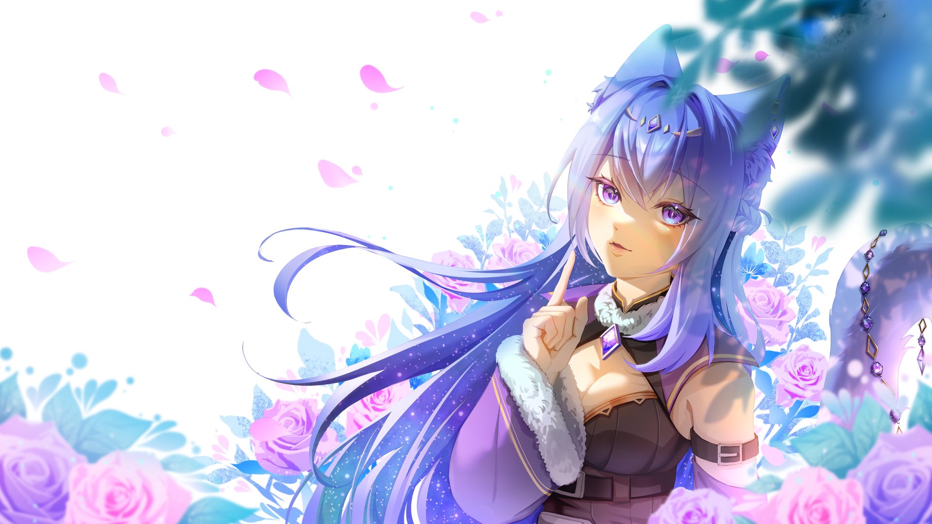 雲貓_ banner