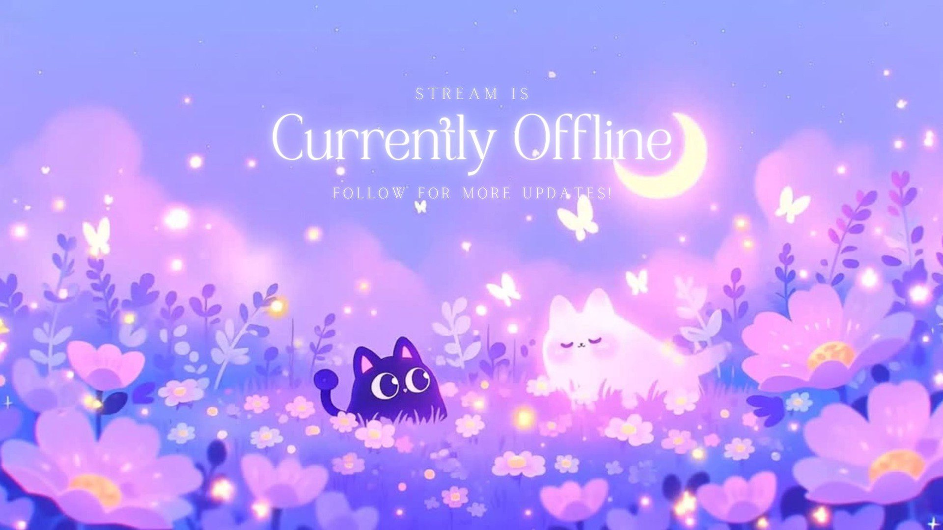 ConfusingNeko banner