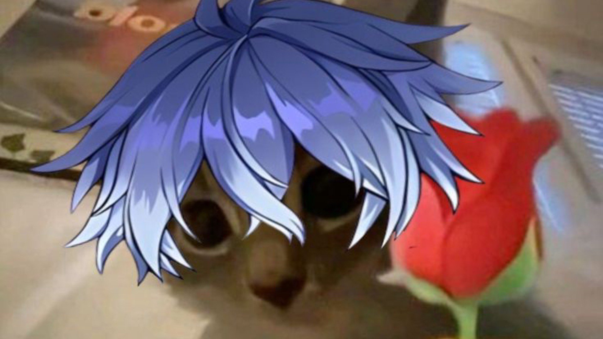 cosmikimi banner