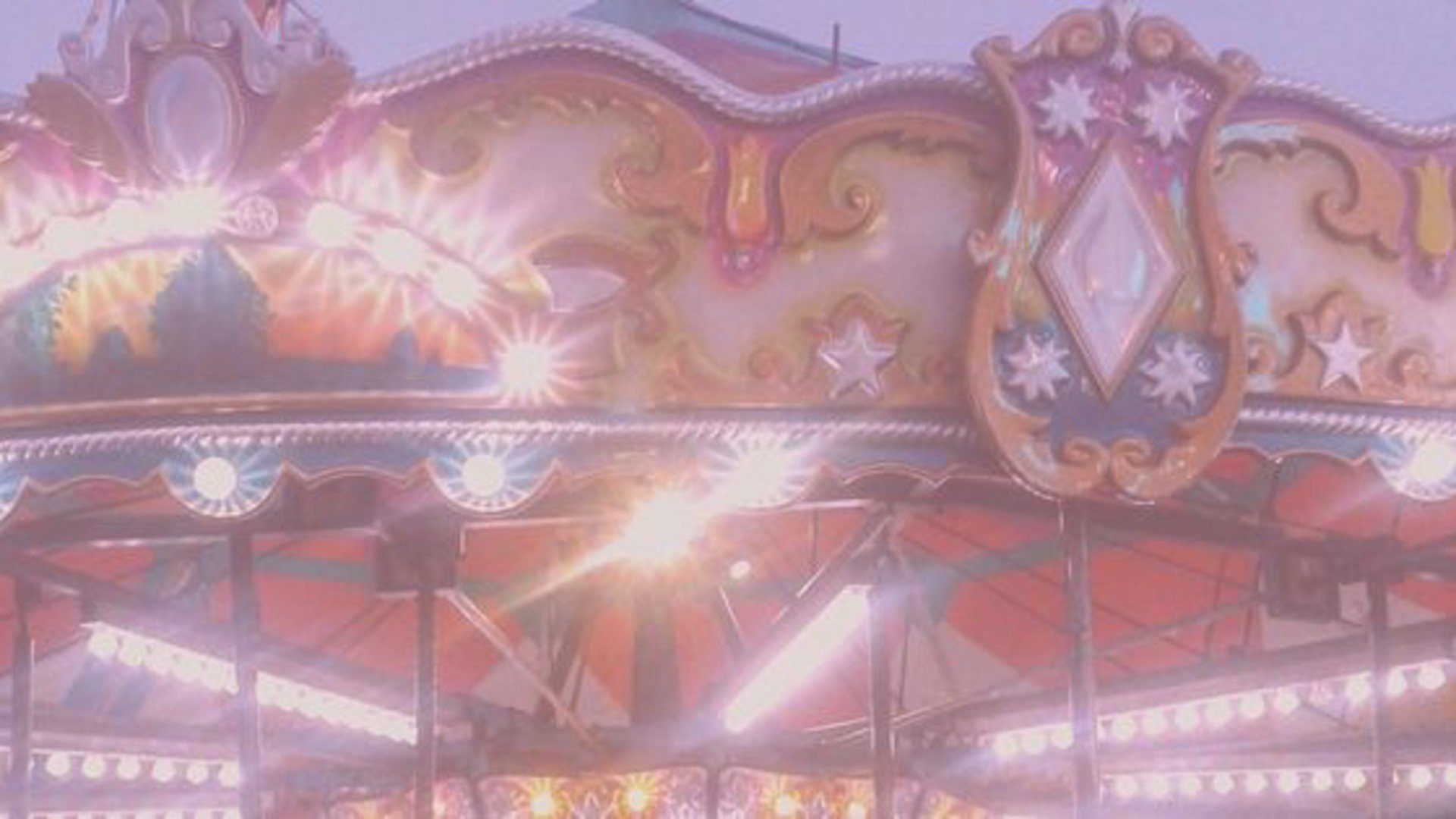 cottontailpups banner