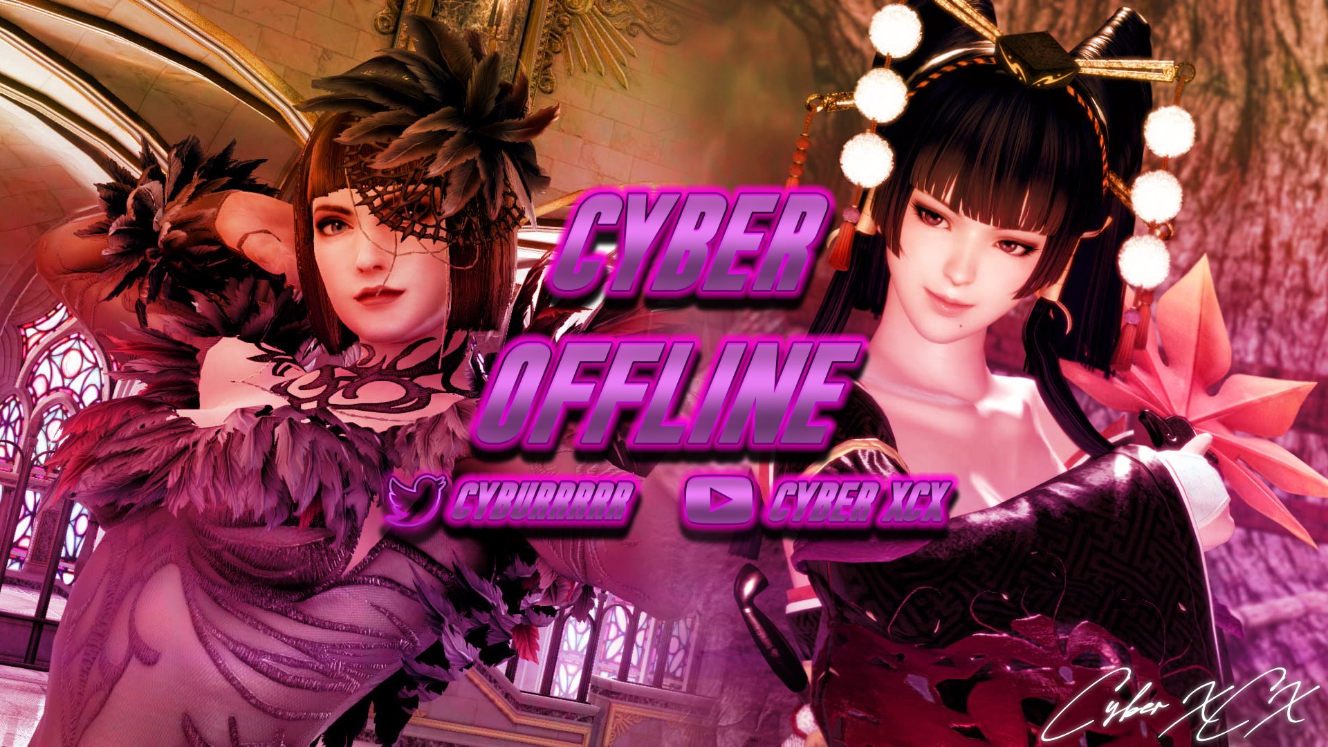 cyberinaa banner