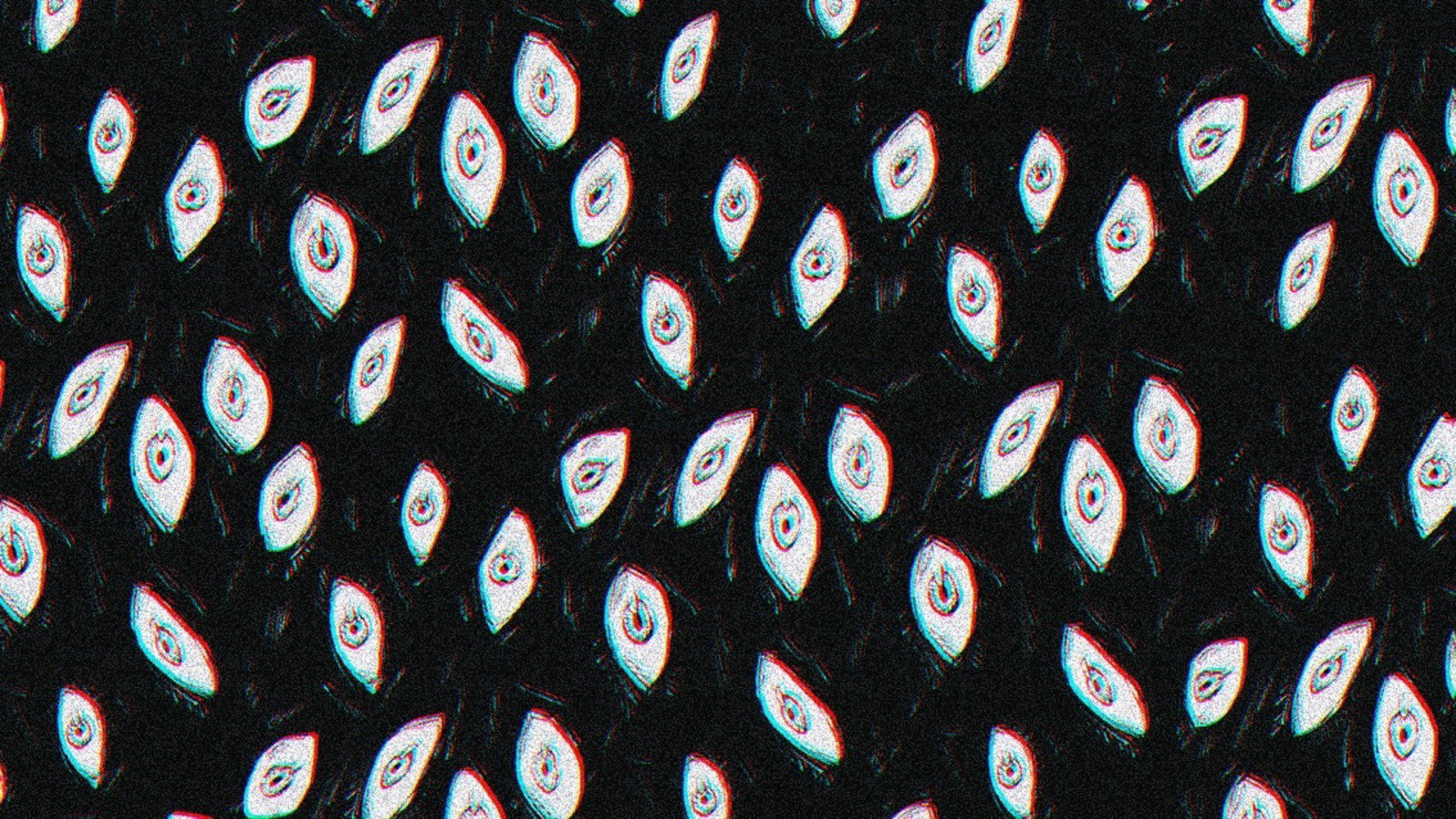 Dandurii banner