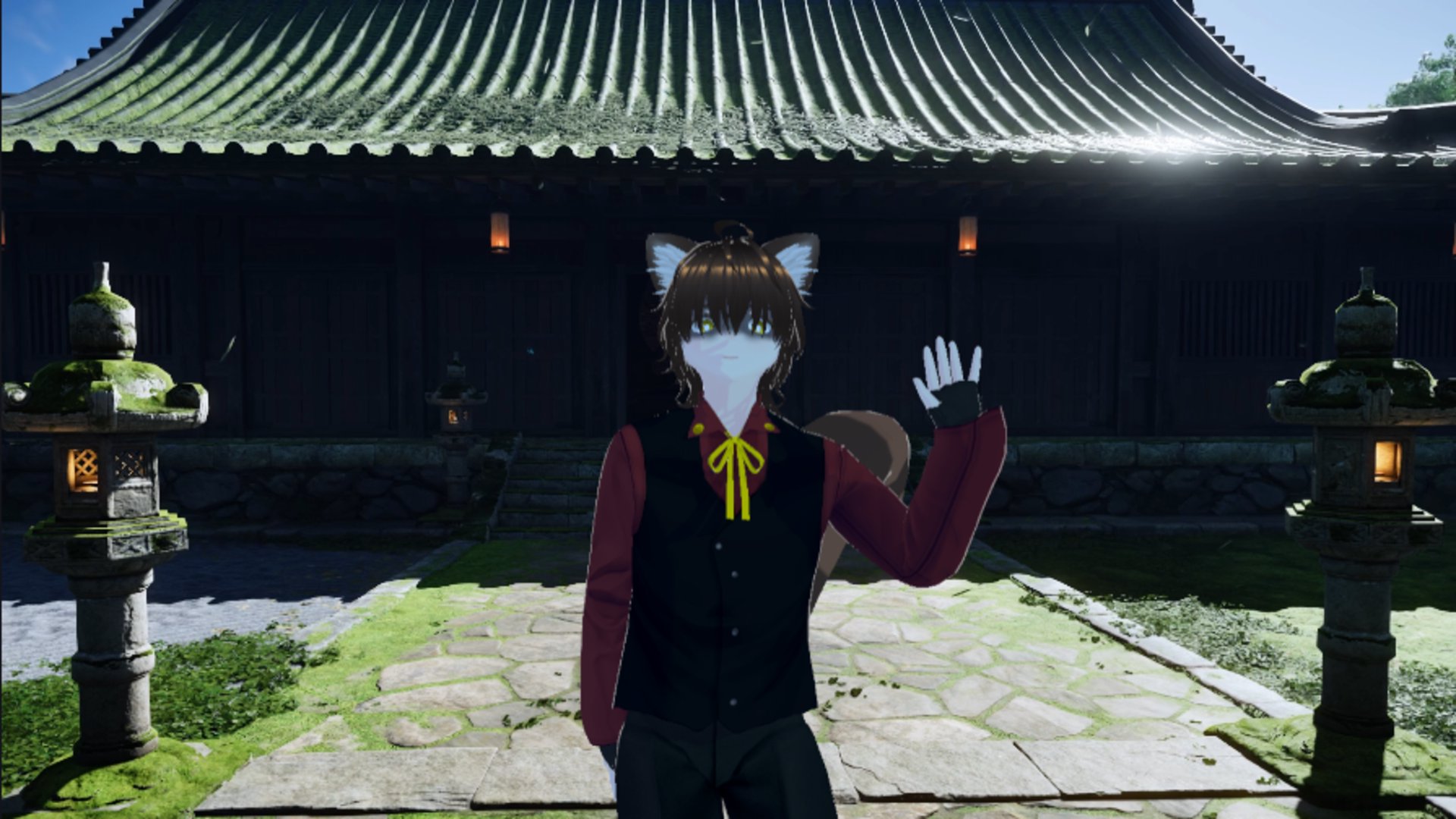 DanukiTheTanuki banner