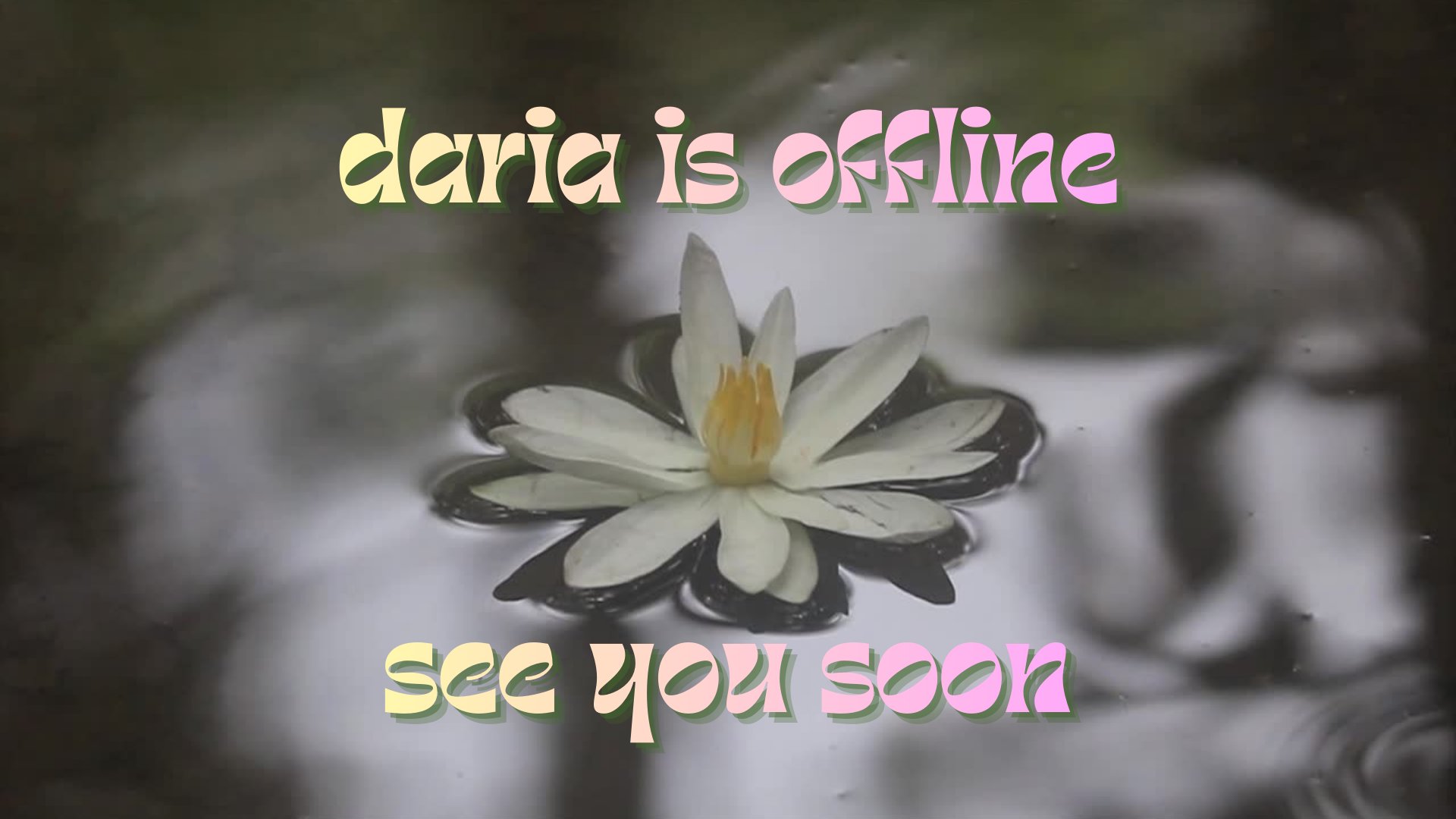 darialadiosa banner