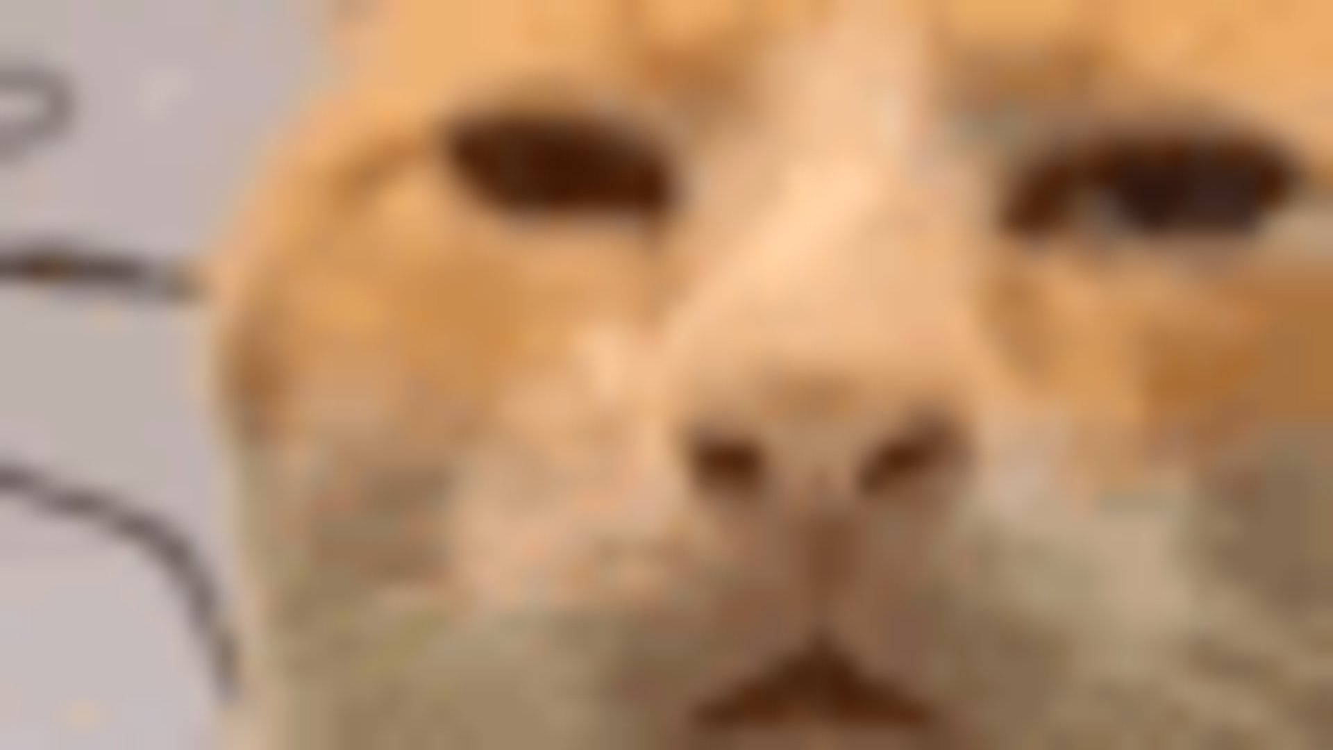 DashJustNice banner