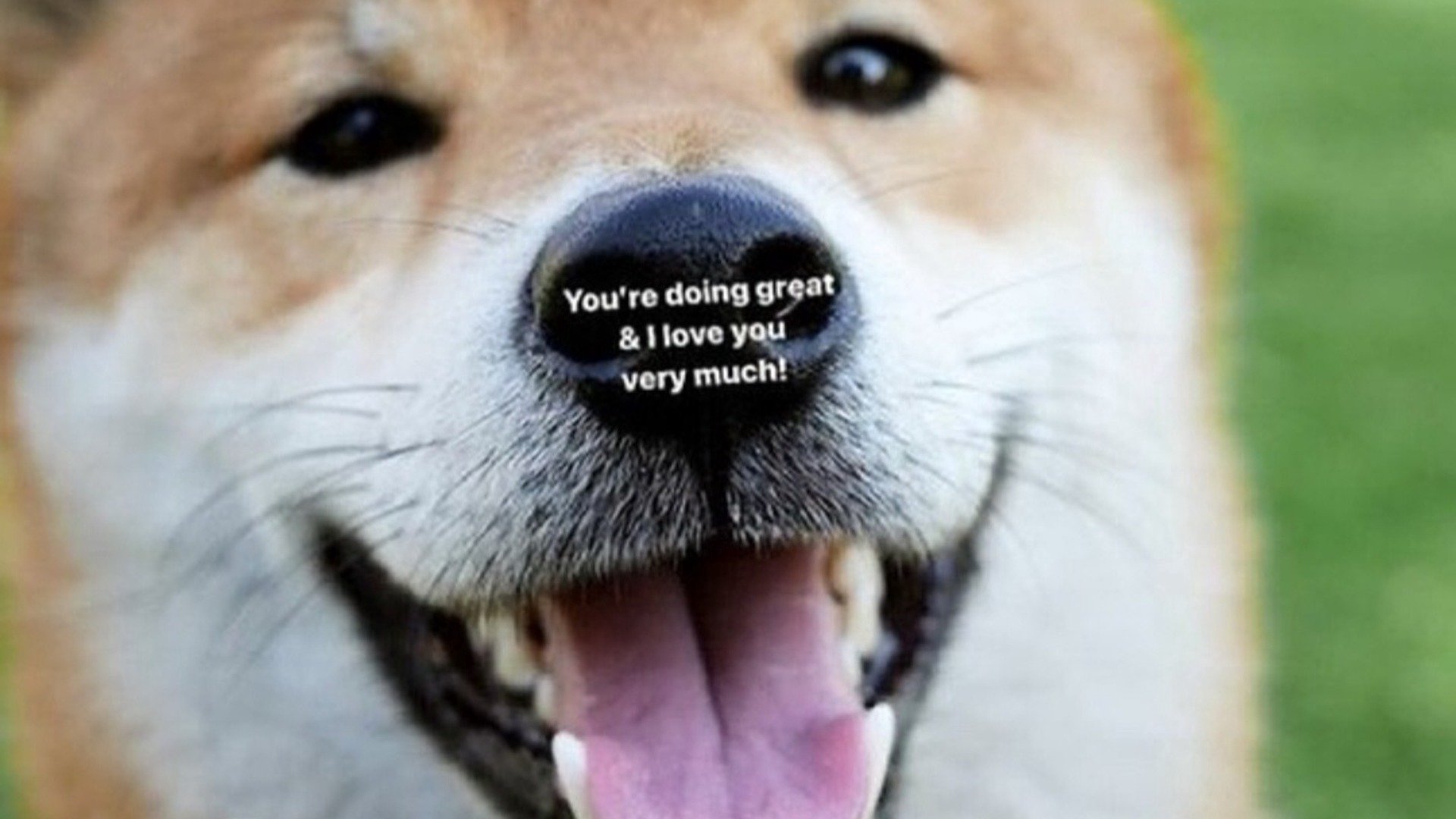 ddddaffy banner