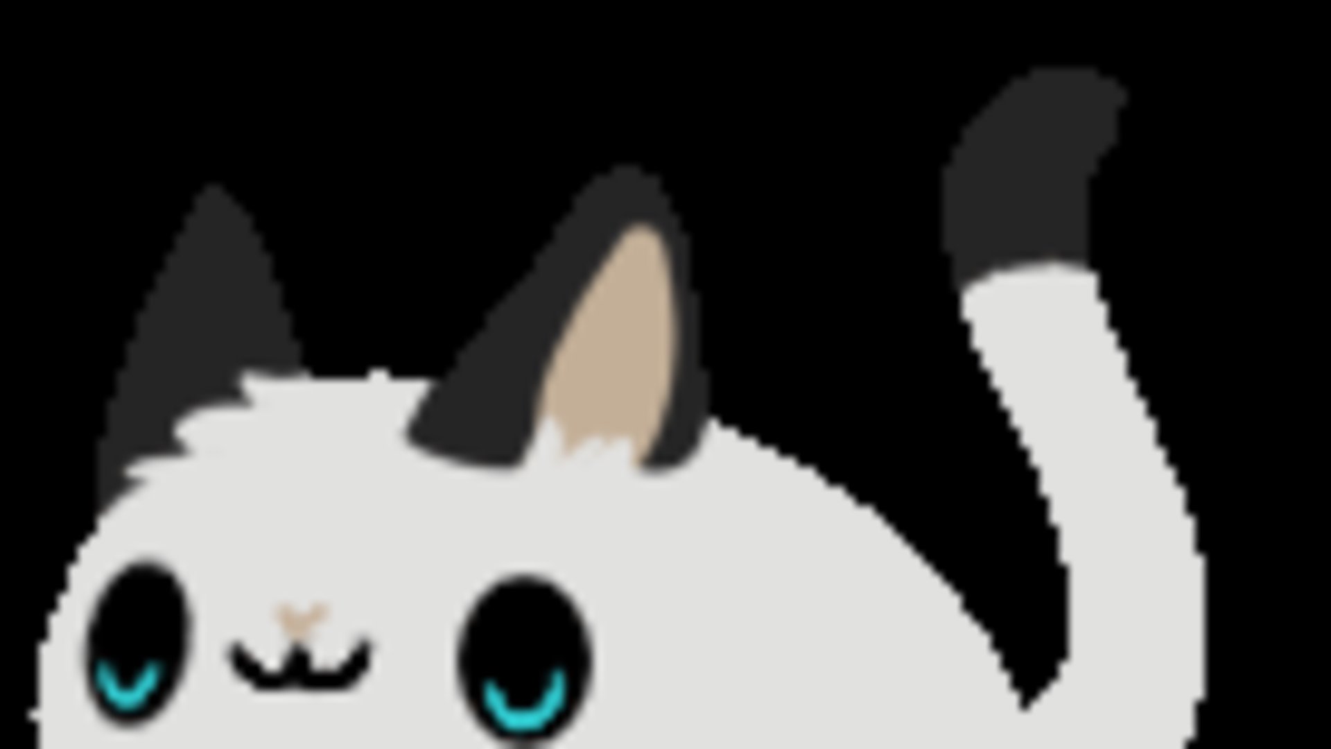 DiePiratzeBlacky banner