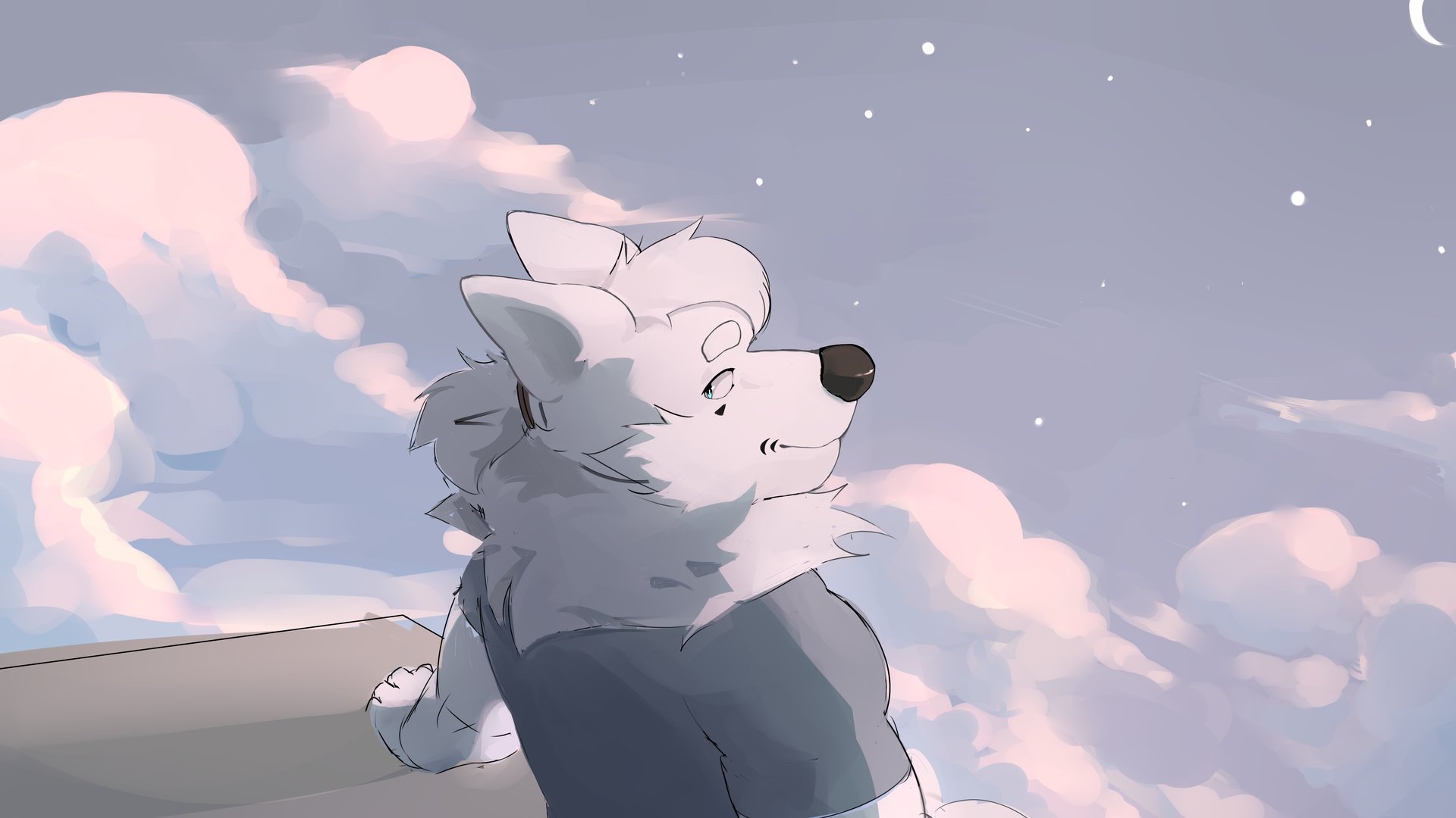 Digzeroo banner