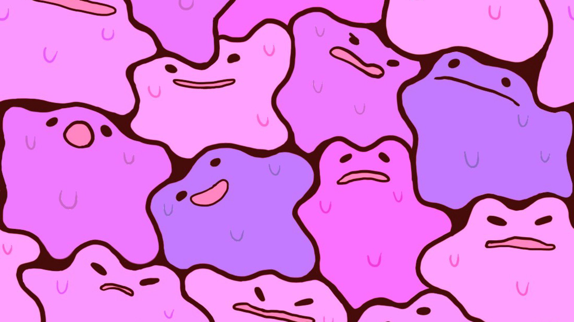 DittoDownUnder banner