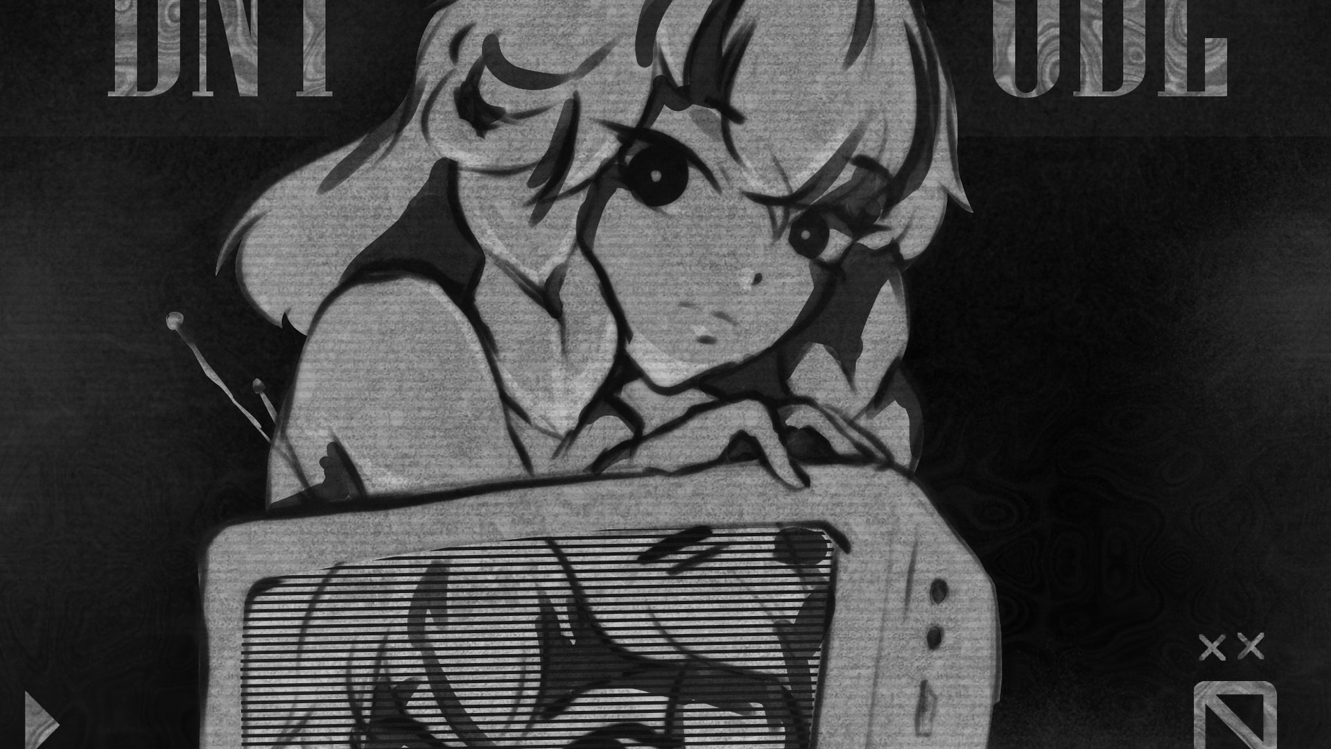 dntude banner