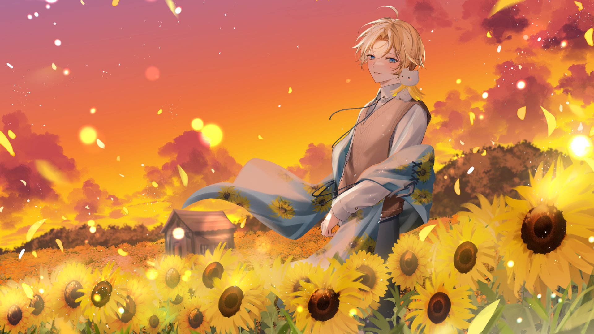 Dobi banner