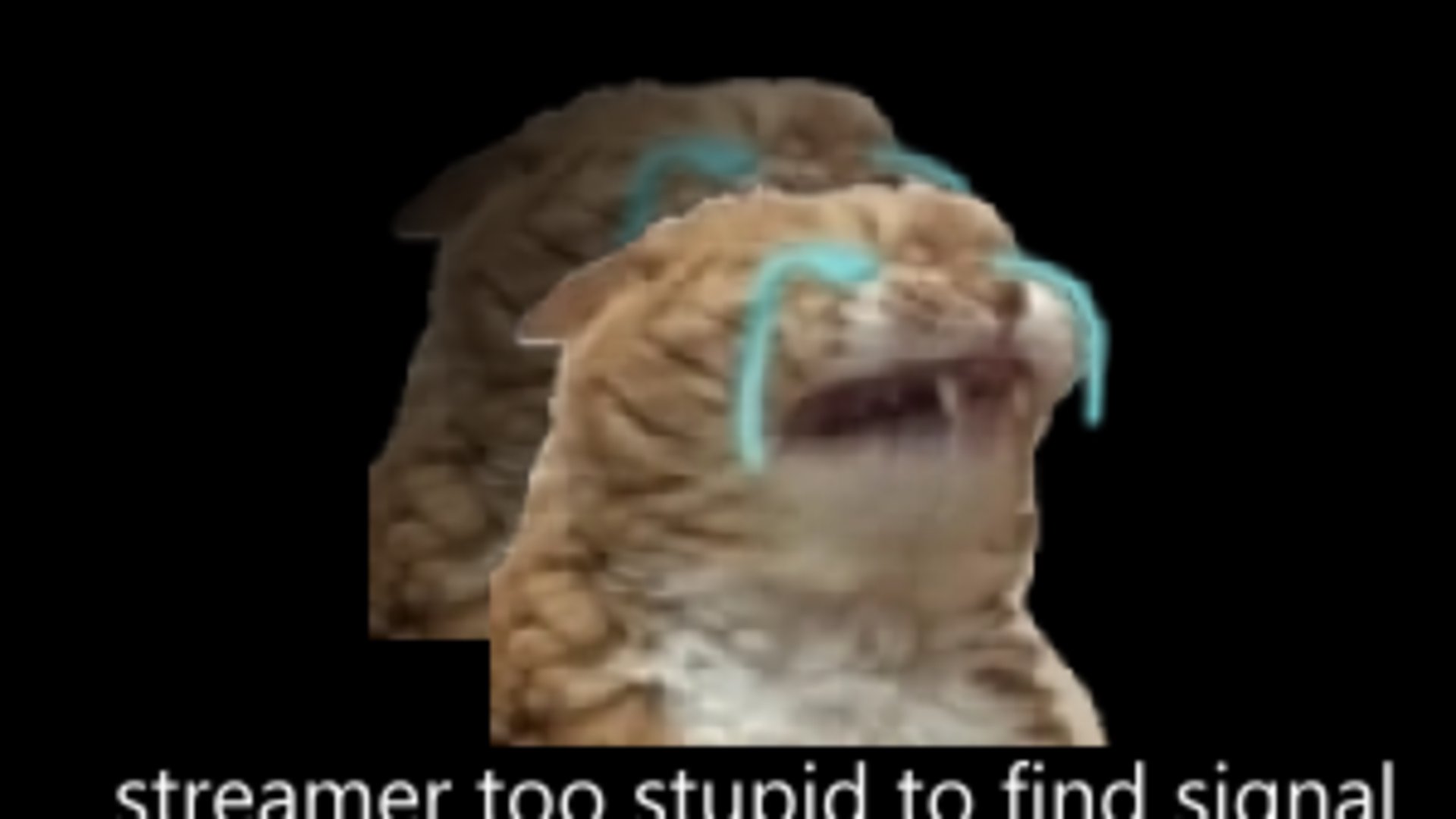 dodo_irl banner