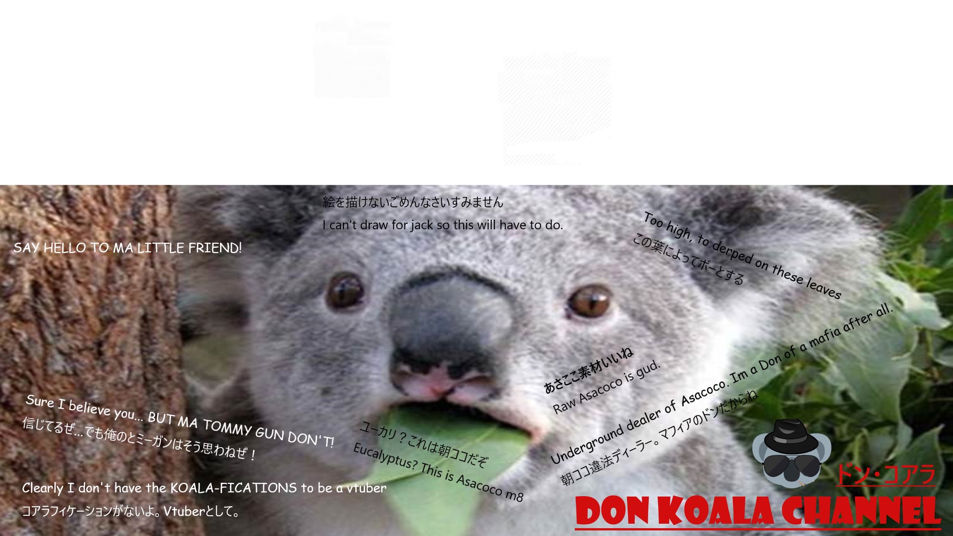 DonKoalaChannel banner