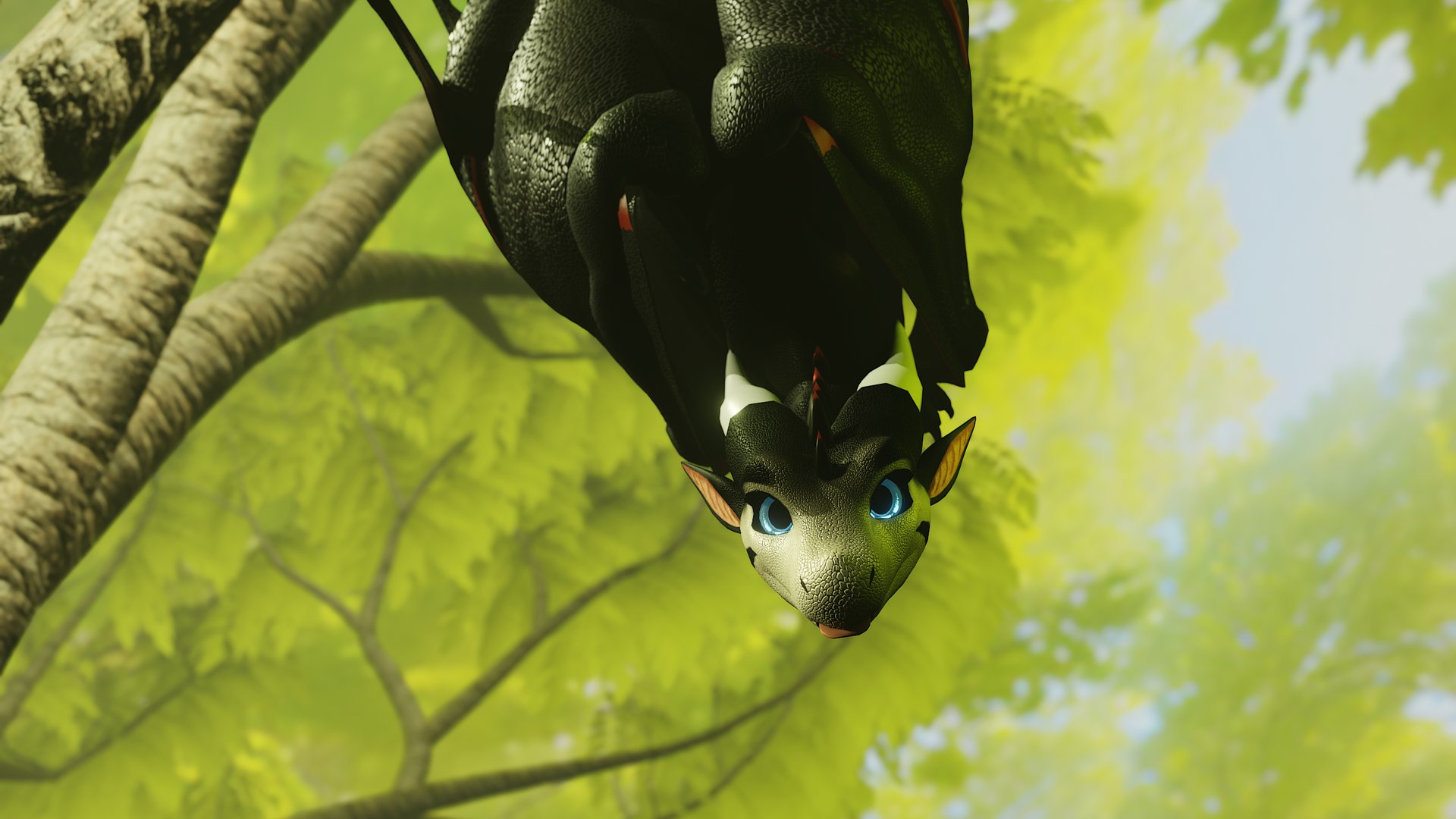 dragoncherrii banner