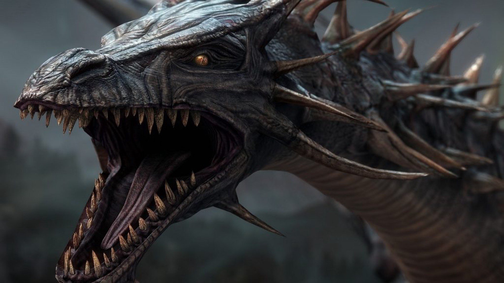 DragonsUnite banner