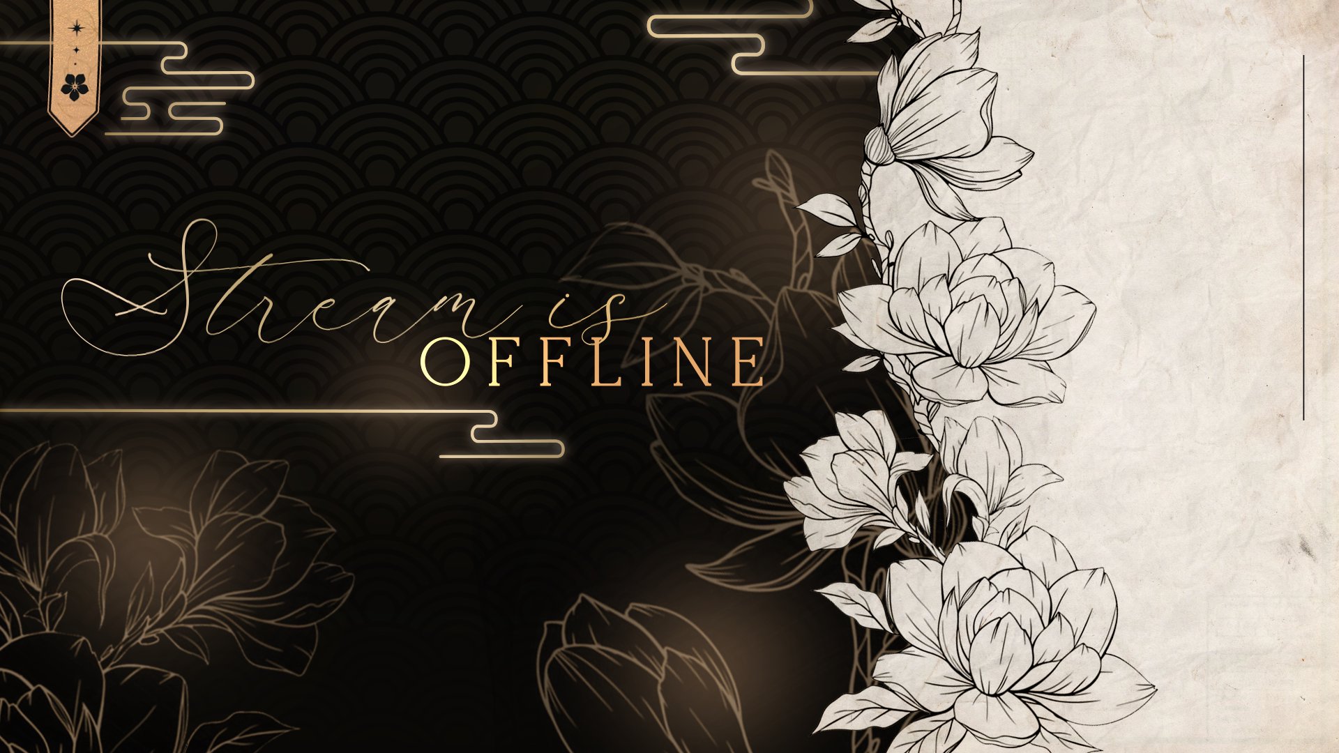 DrLoc_VT banner