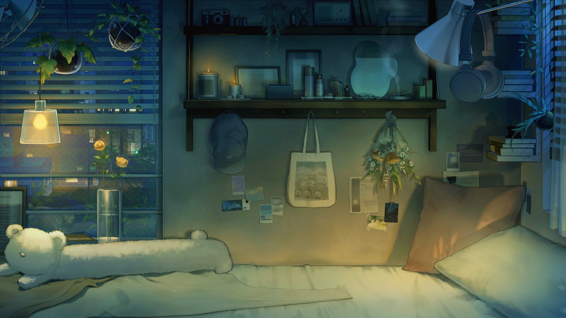 dxppx banner