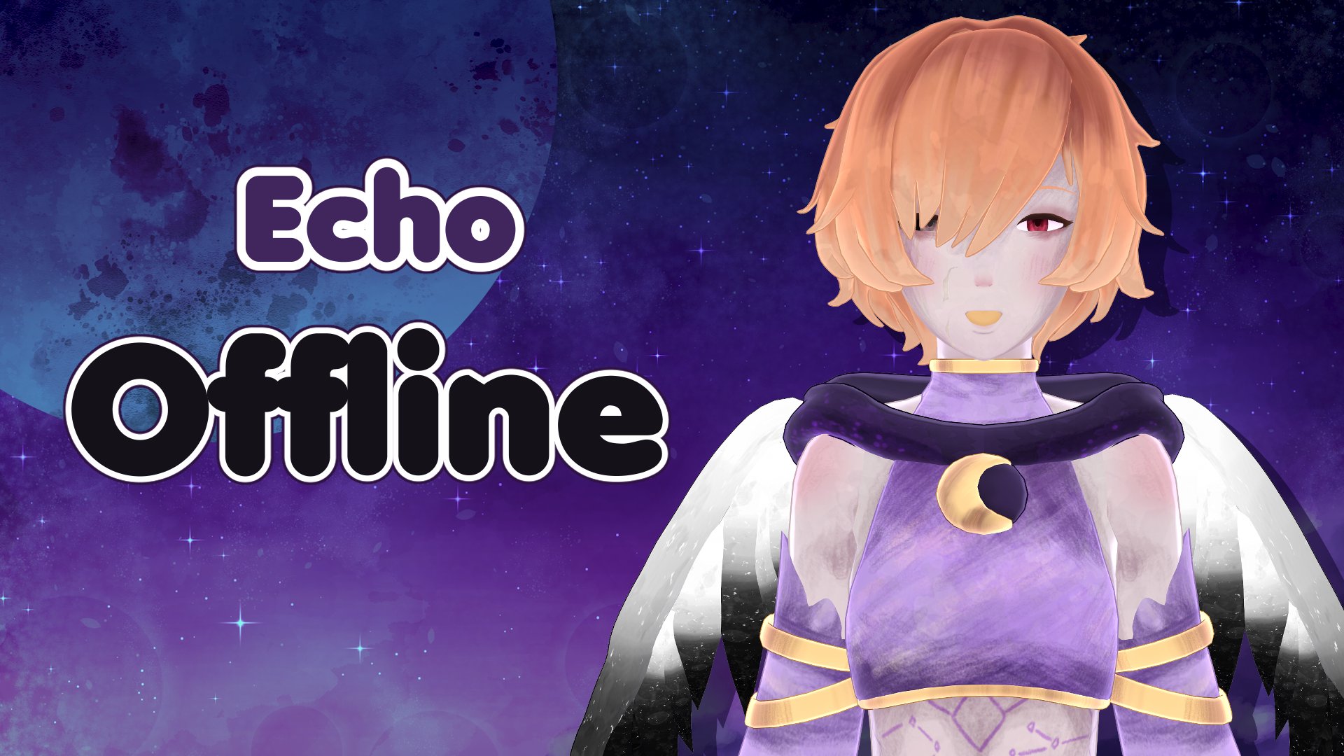 echo_cst banner