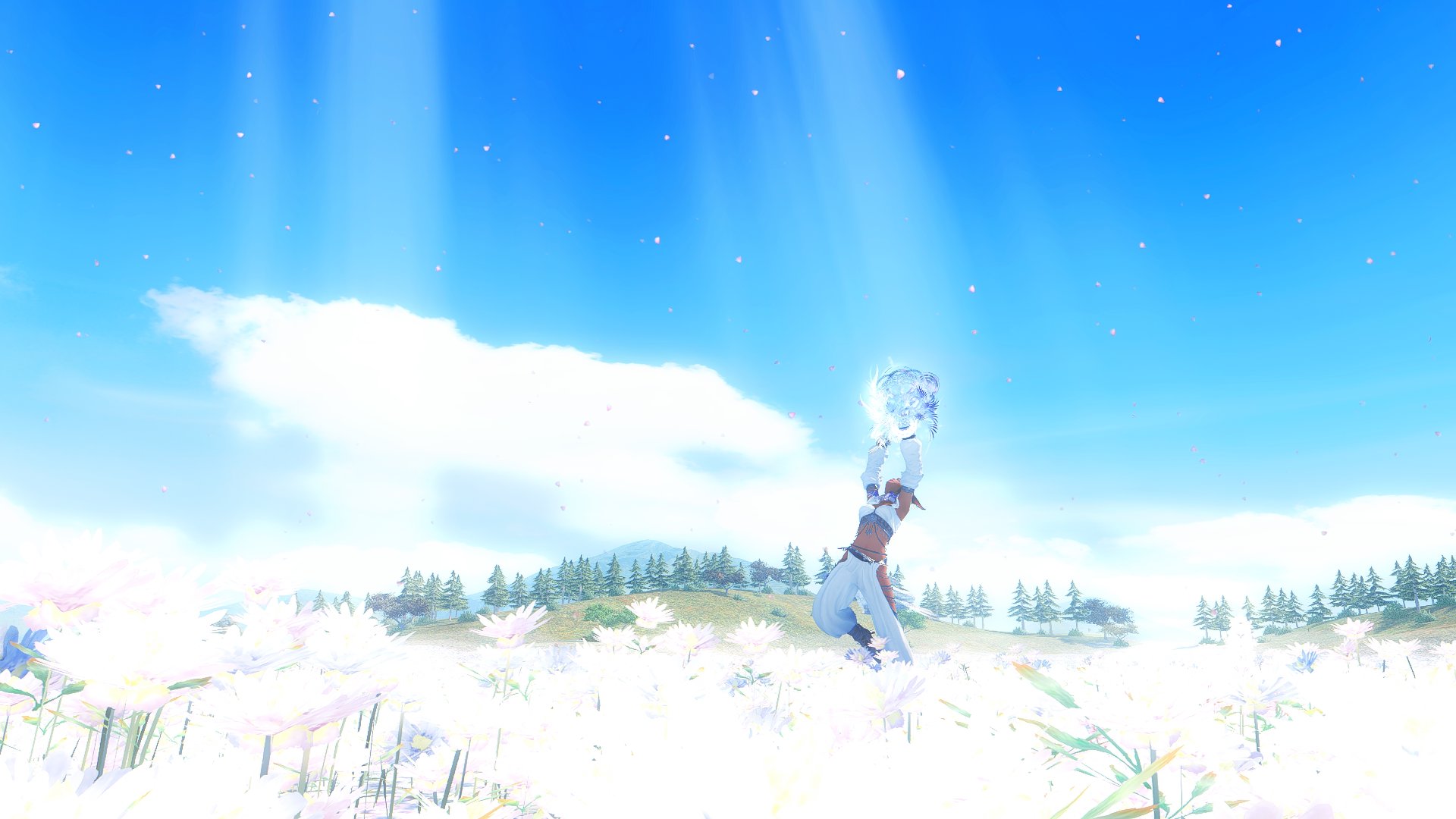 edwarudo banner