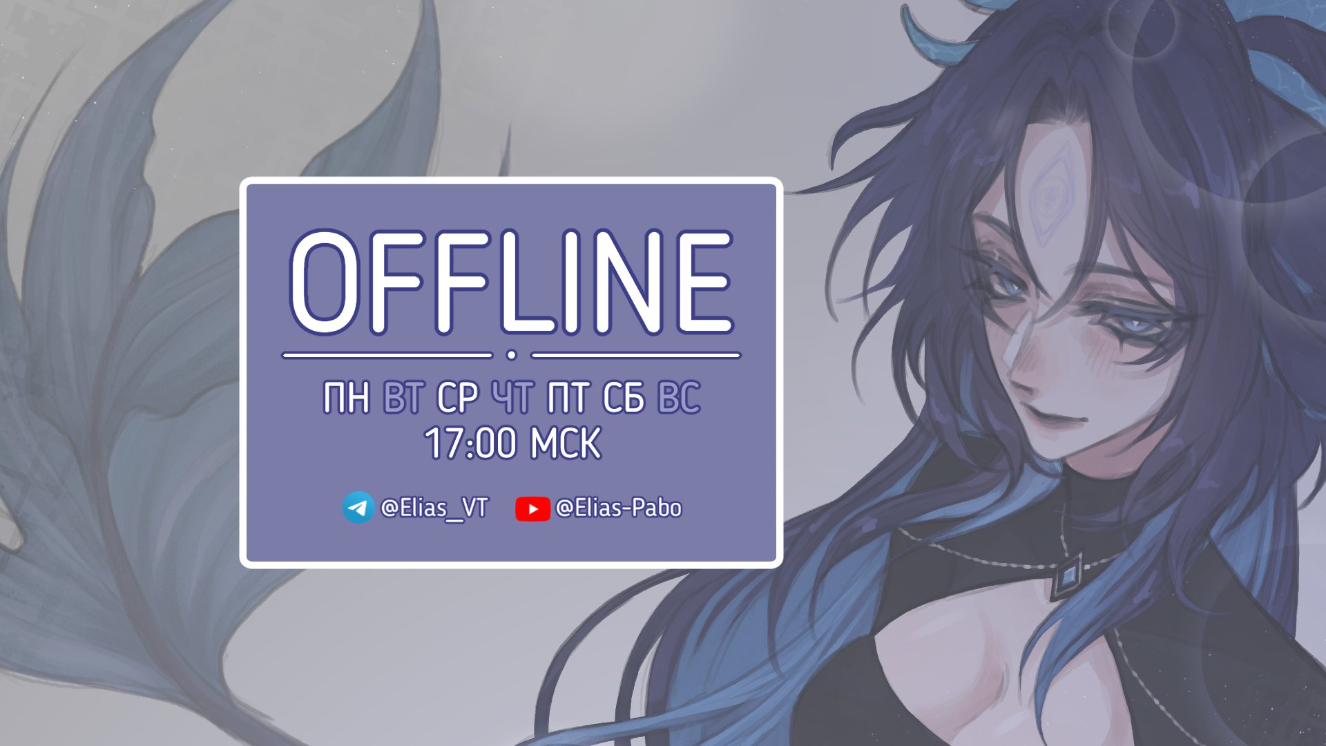 Eliass_VT banner