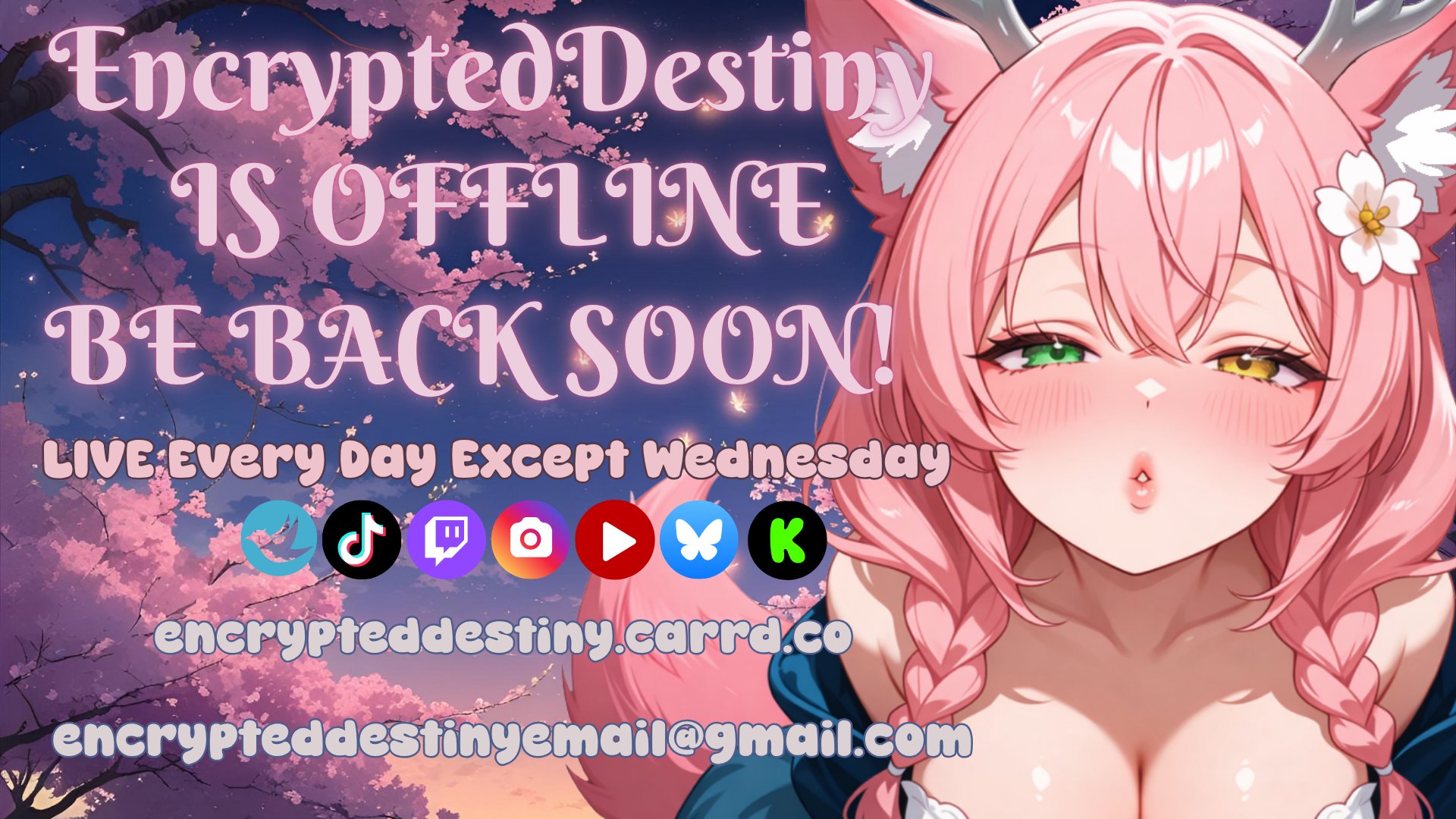 EncryptedDestiny banner