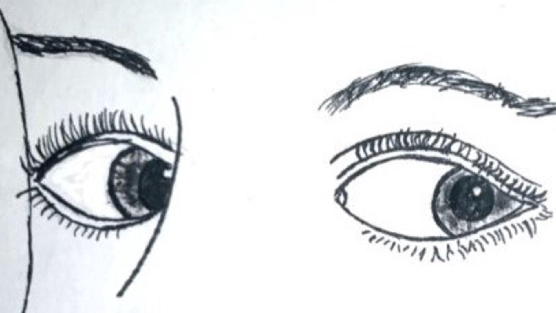 escrimeur_Licht banner