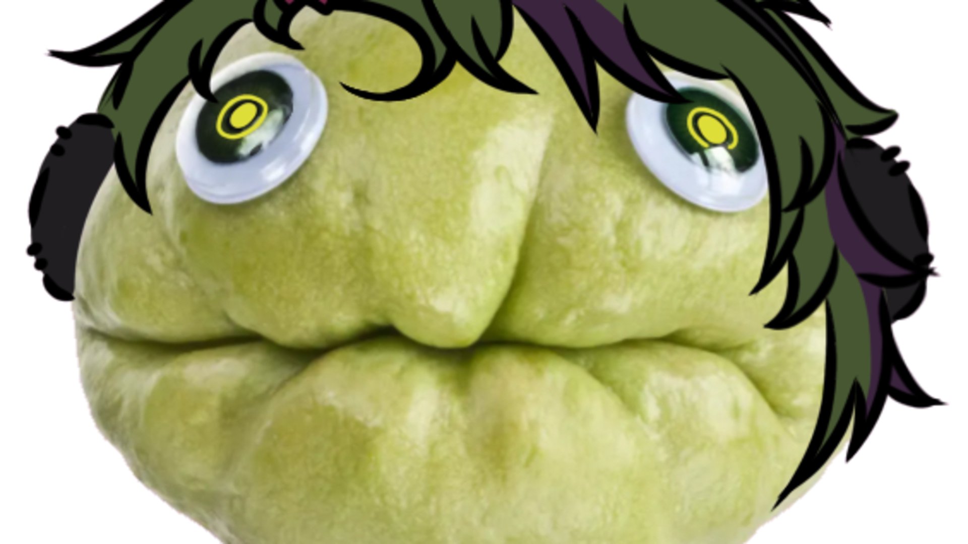 Evexxe banner