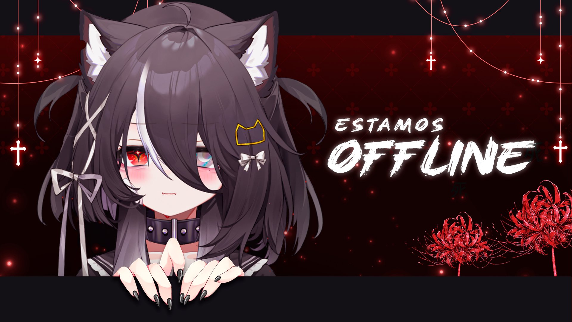 eviehz banner