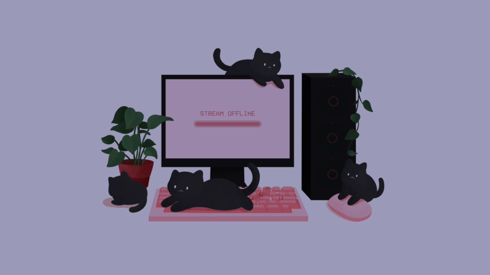 Exakcip_ banner