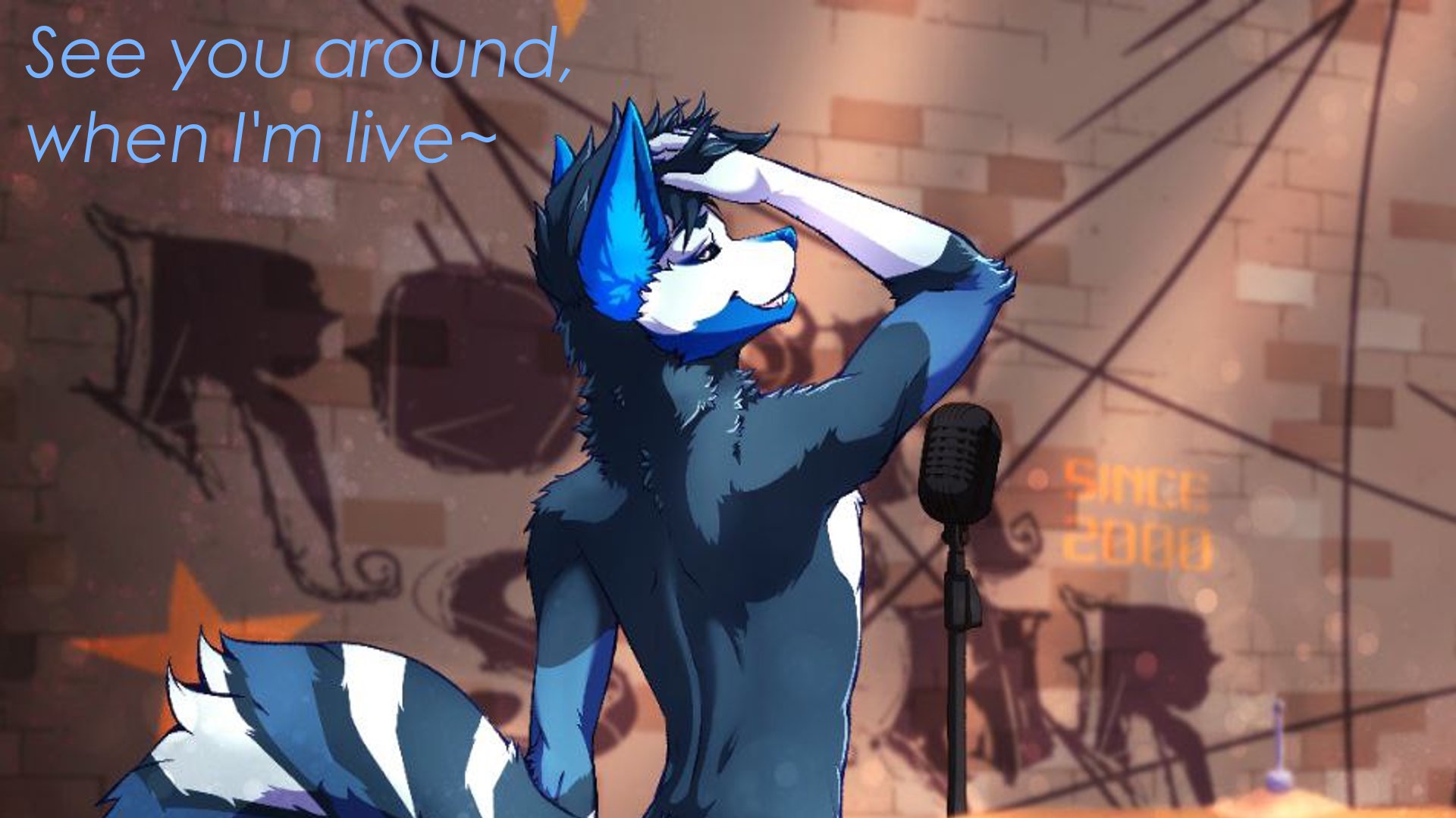F1nnsan1ty banner