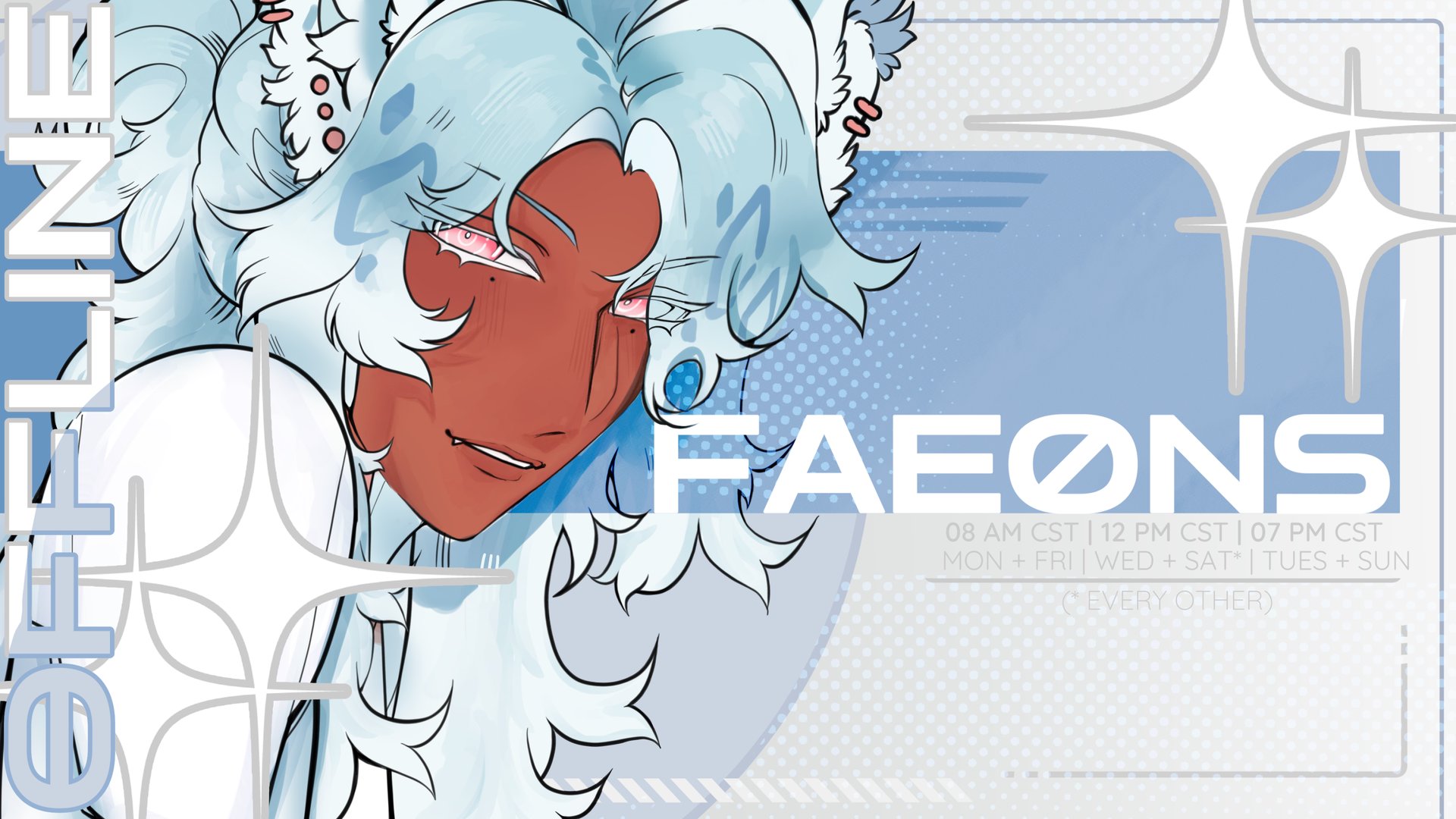 FAE0NS banner