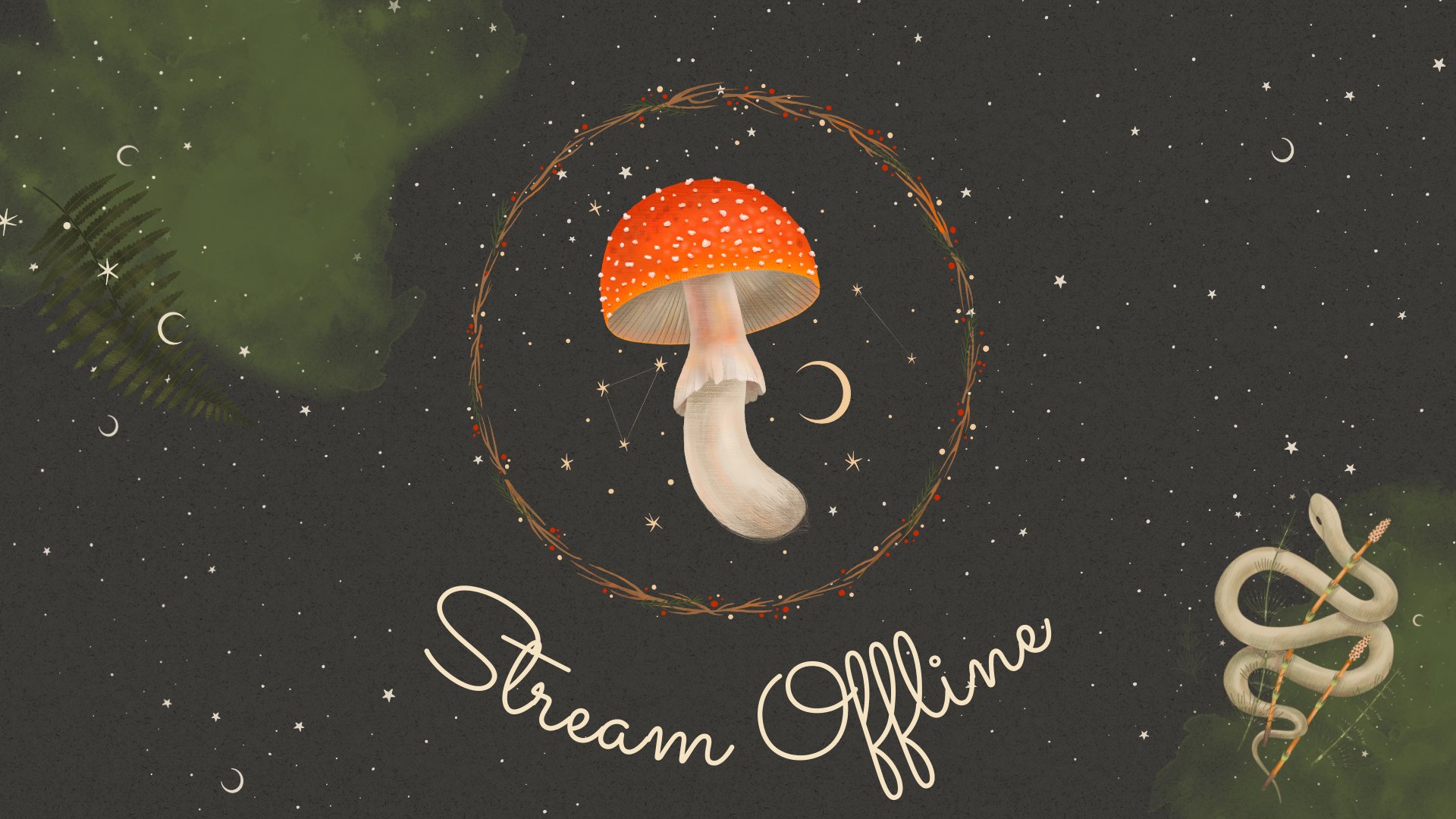 faevert banner