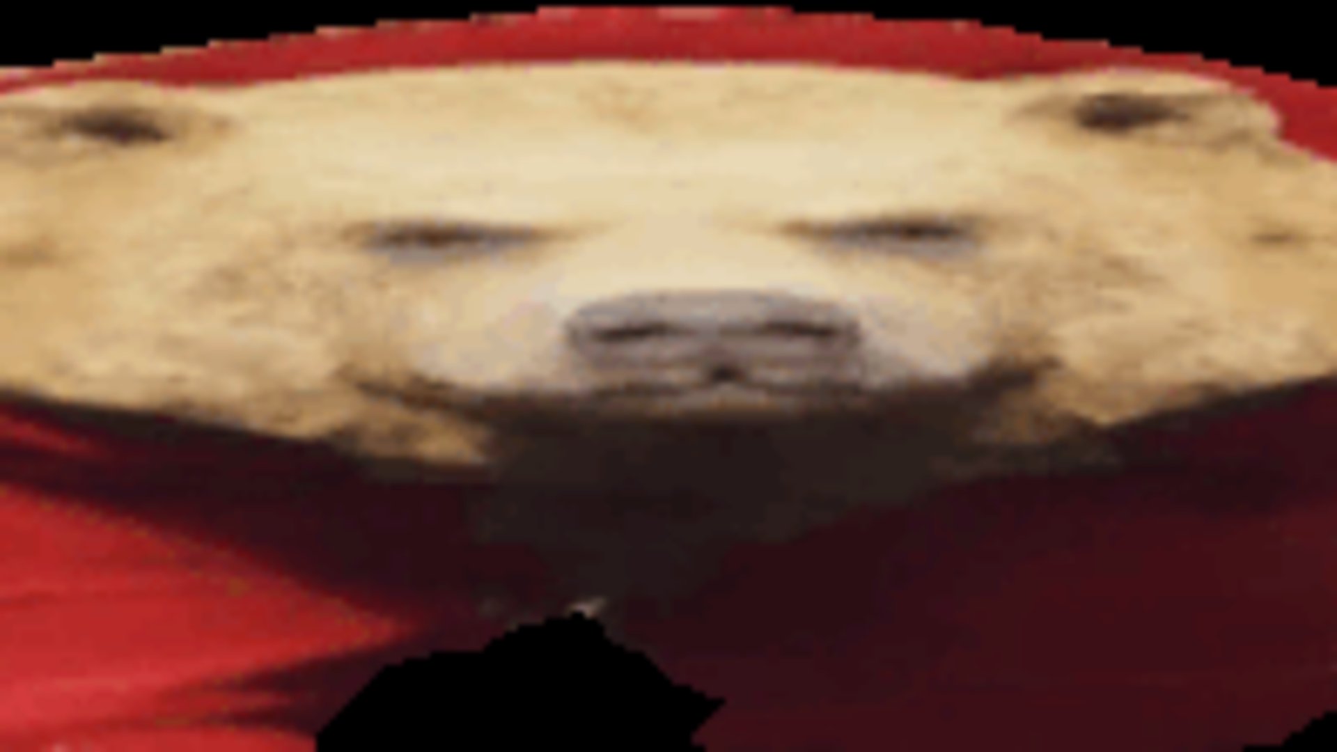 fangszy banner