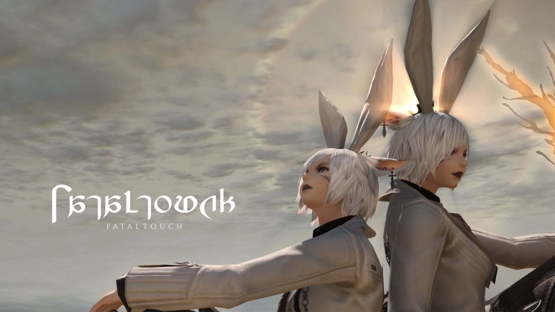 Fataltouch banner