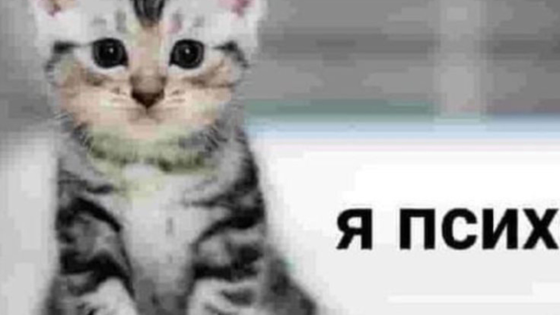 faustovpwnz banner