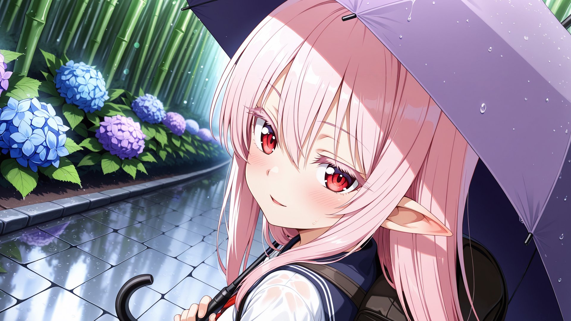 フェル_12 banner